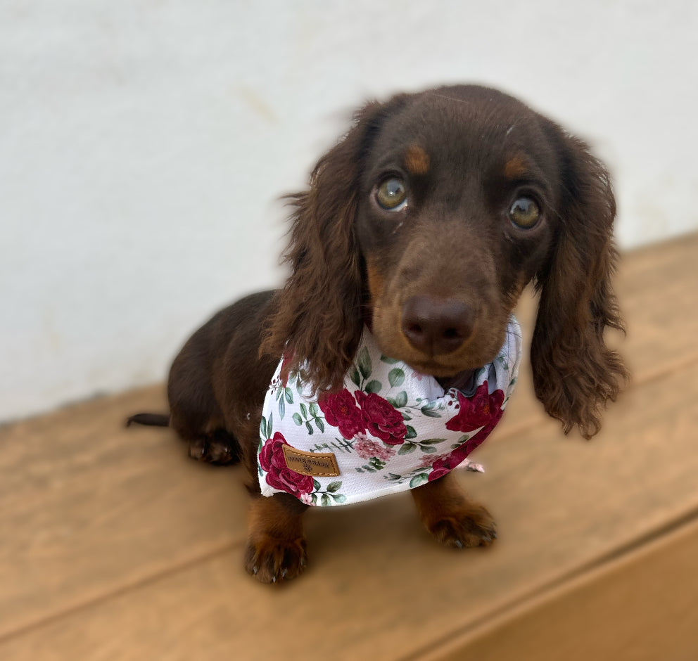 Floral White Bandana