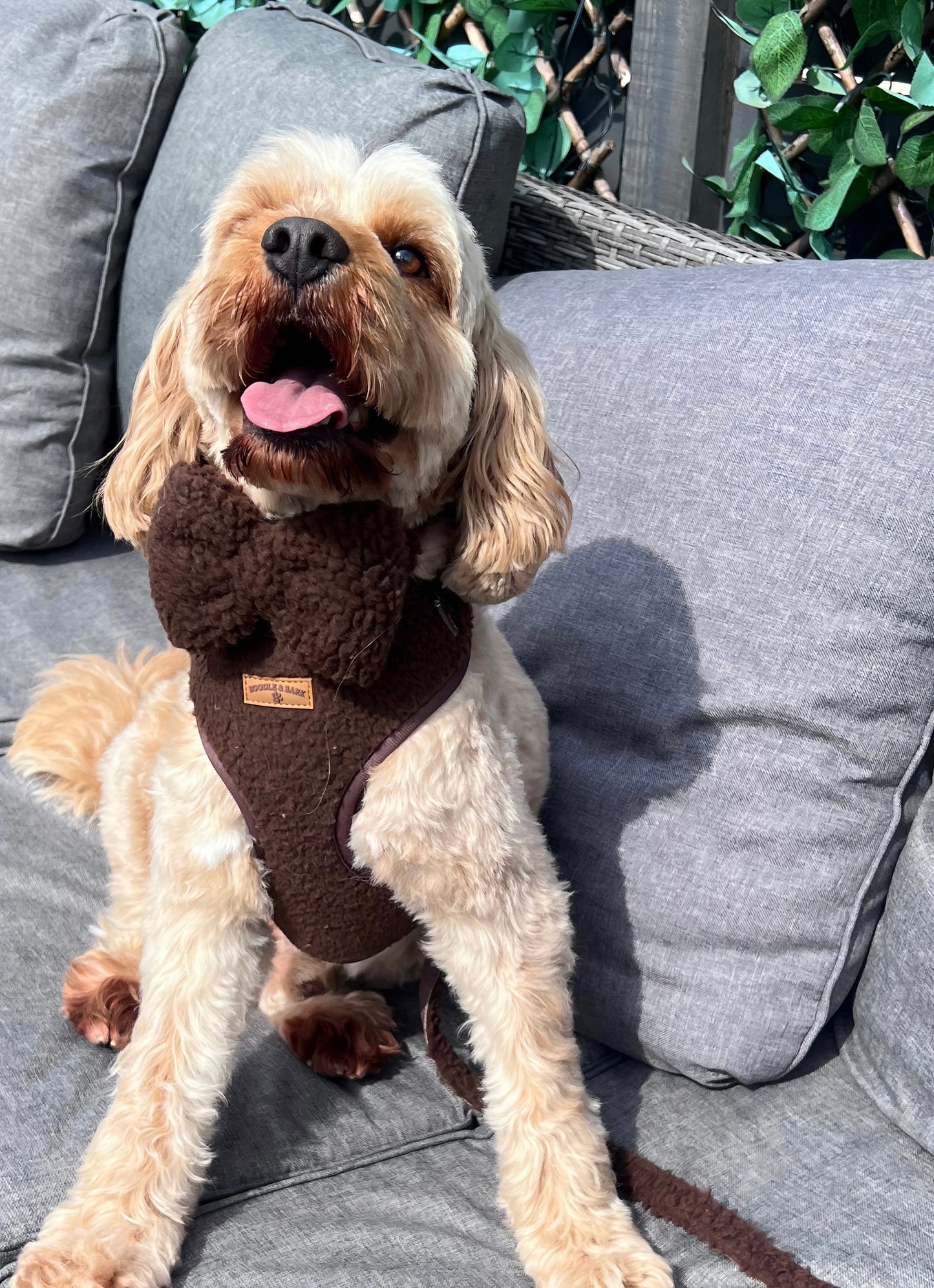 The Ultimate Boodle Bundle - Cosy Chocolate Brown Edition