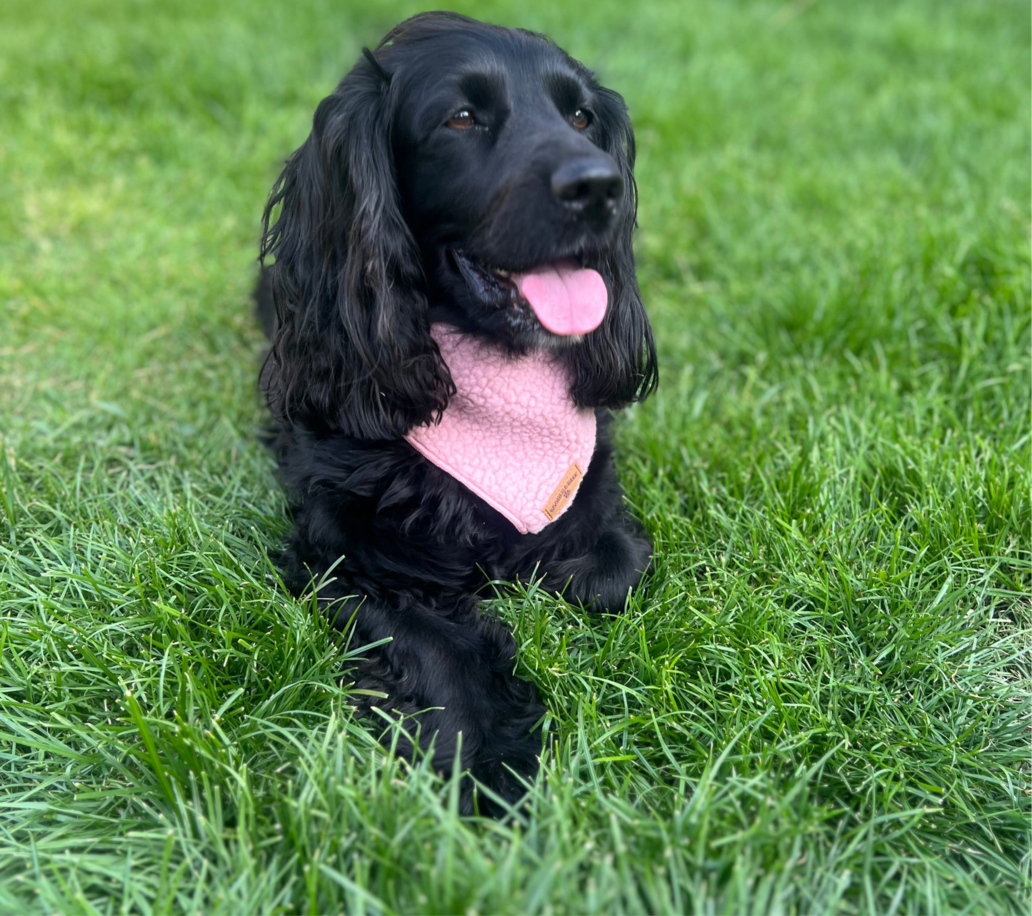 Cosy Pink Bandana