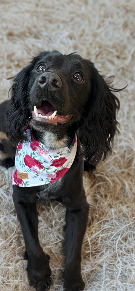 Floral White Bandana