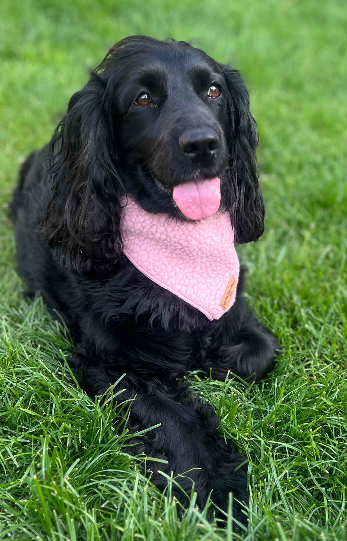 Cosy Pink Bandana
