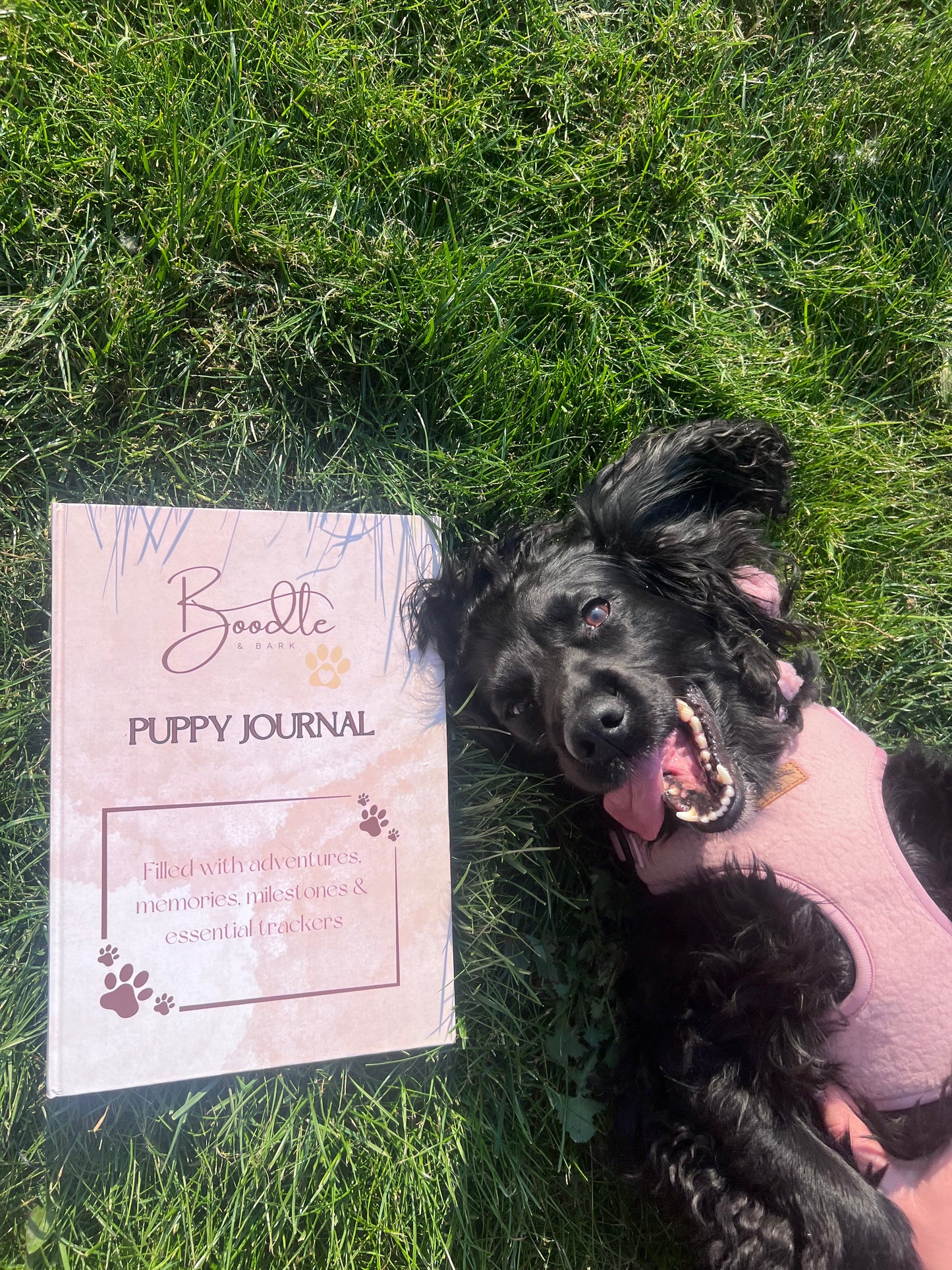Boodle and Bark Puppy Journal