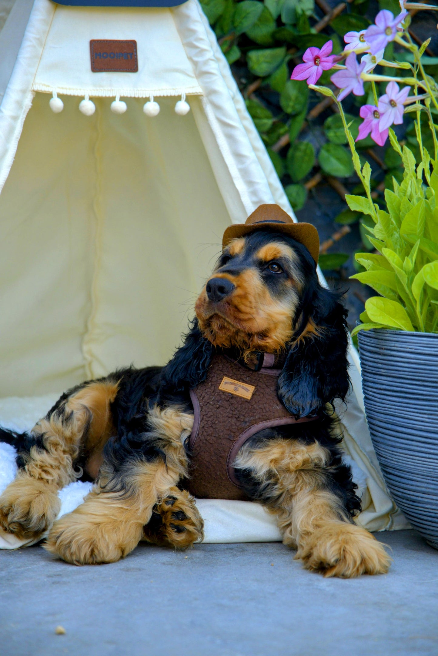 Cosy Chocolate Brown Dog Harness | Soft Fleece Adjustable Harness