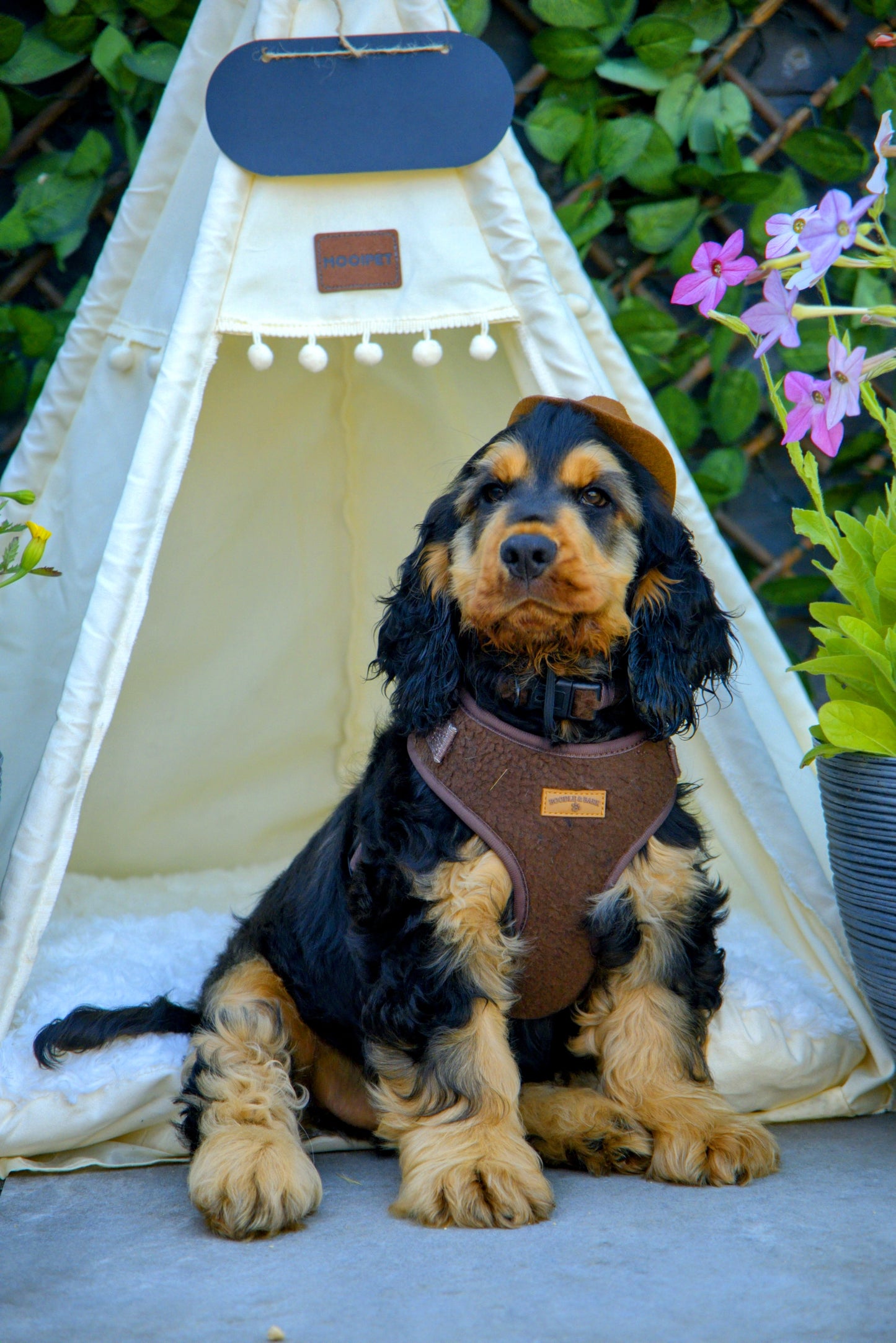 Cosy Chocolate Brown Dog Harness | Soft Fleece Adjustable Harness