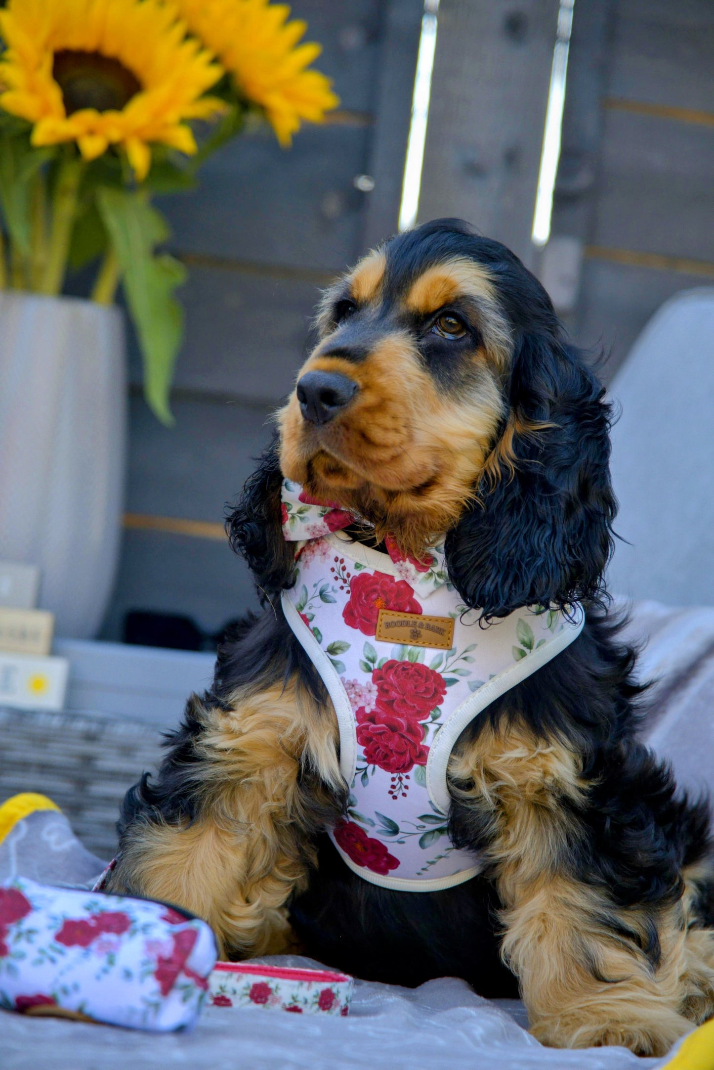 White Floral Dog Harness | Elegant Adjustable Harness