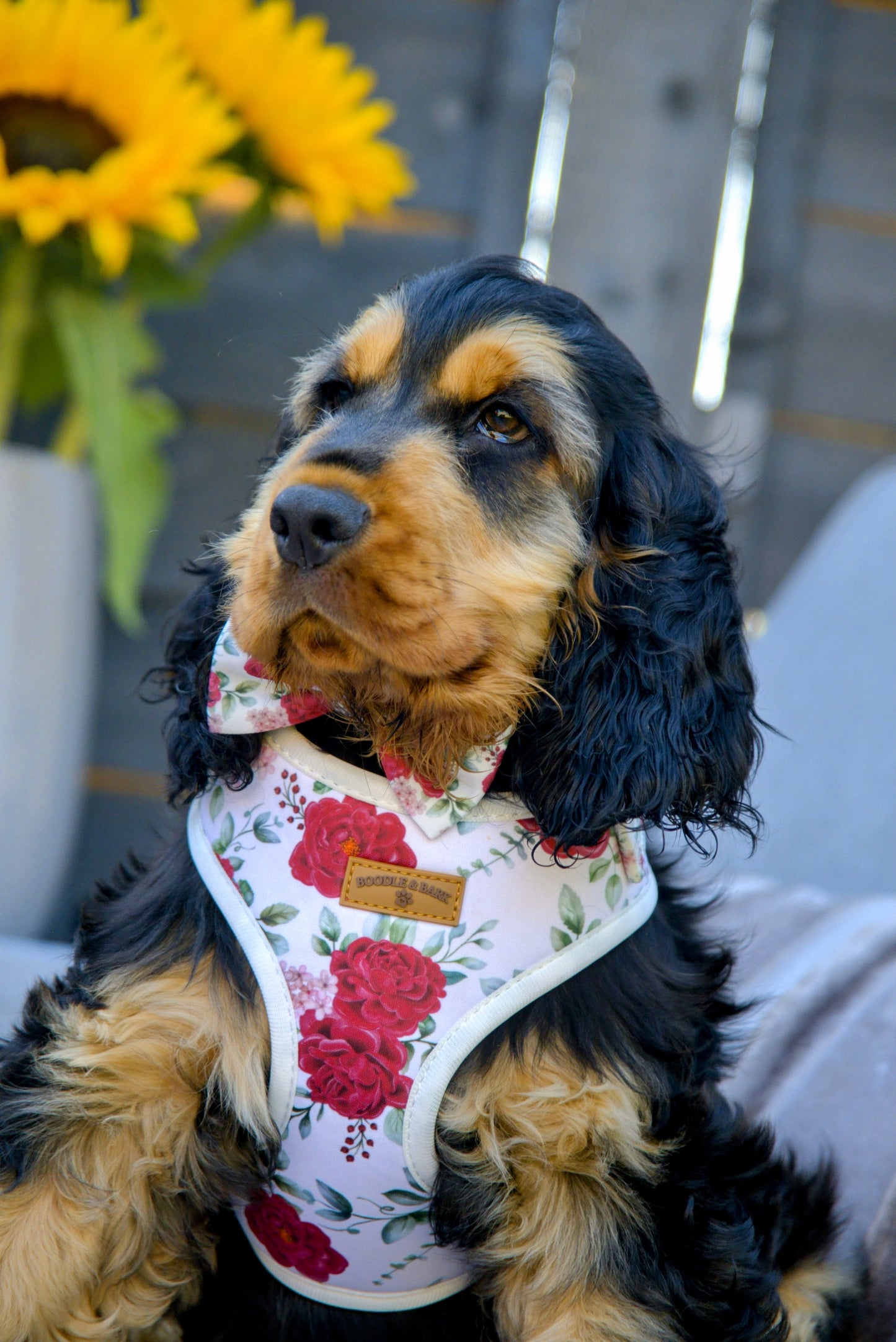 The Boodle Puppy Bundle – Floral Edition | Puppy Starter Kit with Harness, Journal, Leash & More
