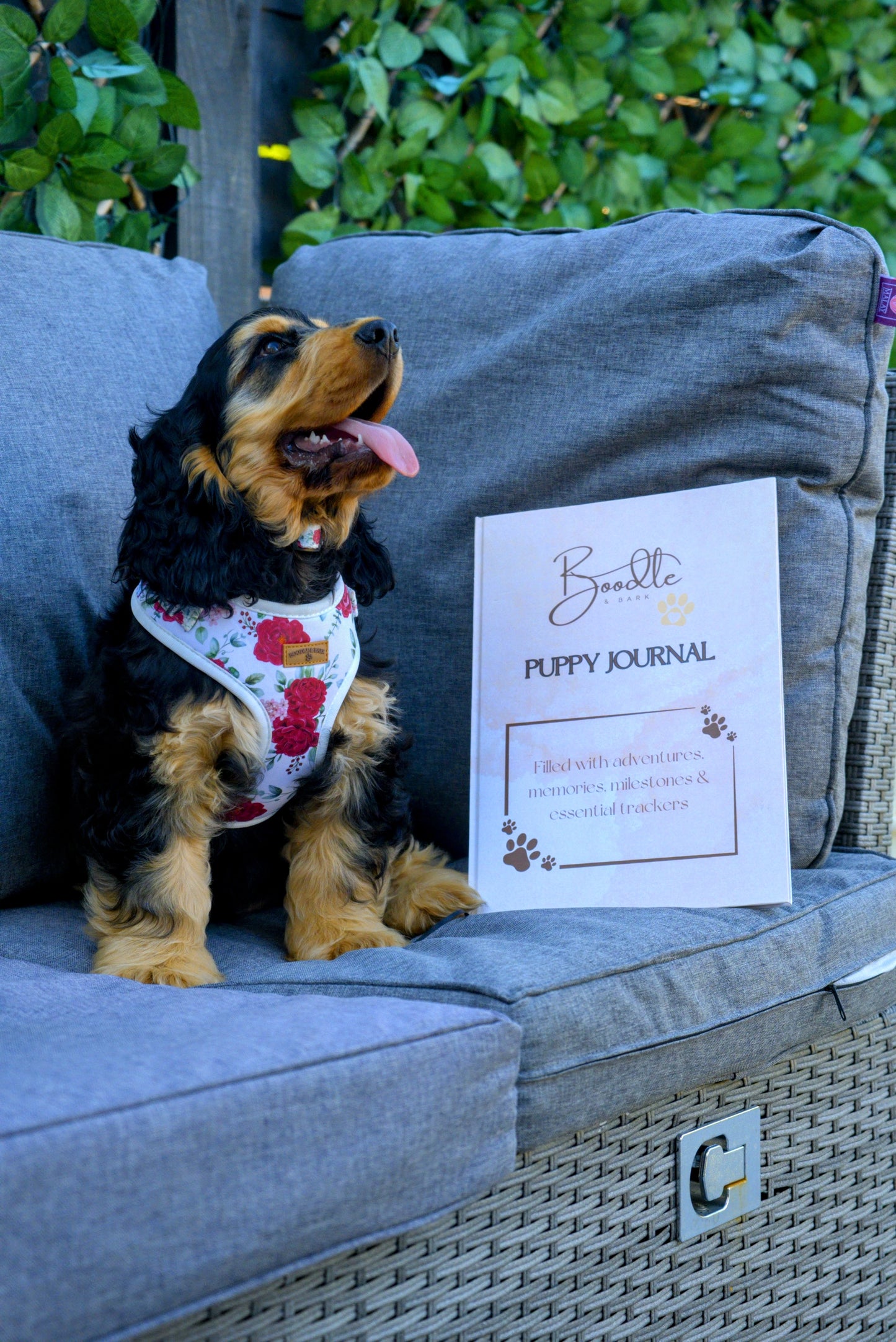 The Boodle Puppy Bundle – Floral Edition | Puppy Starter Kit with Harness, Journal, Leash & More