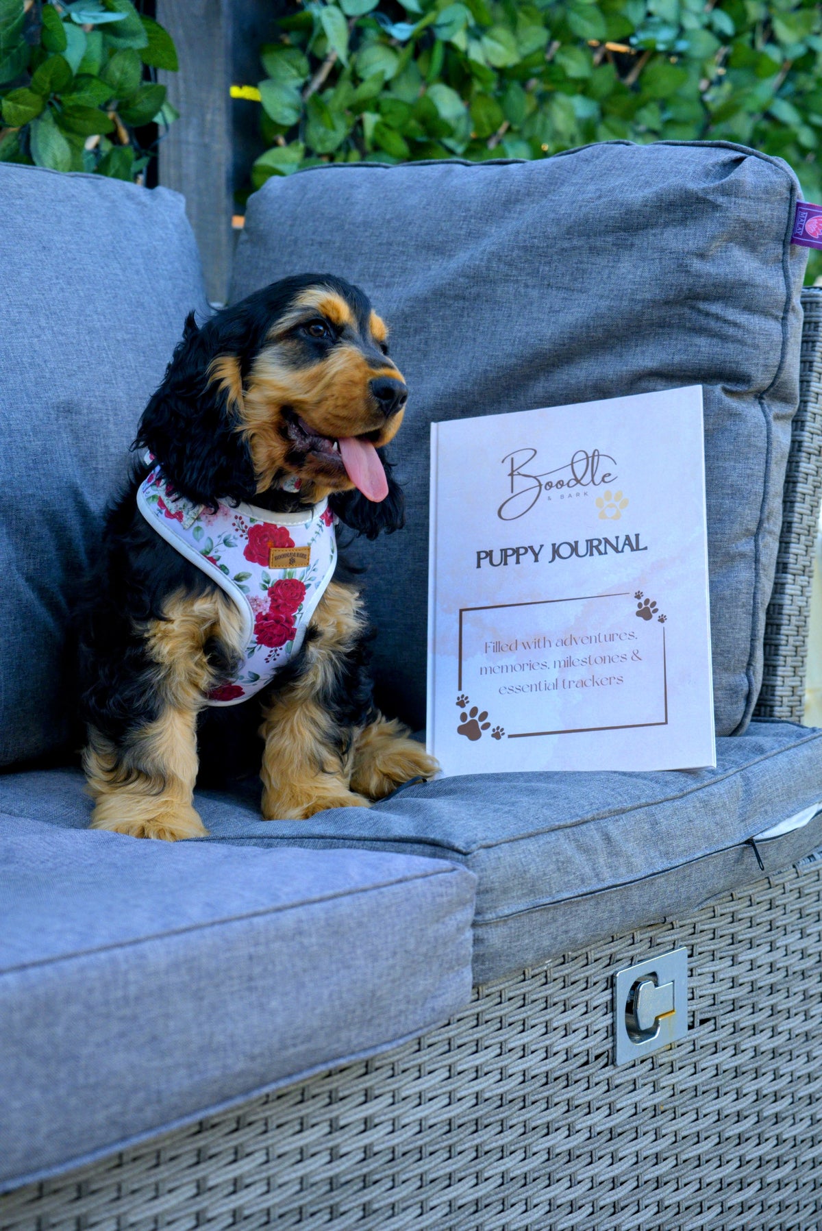 Boodle & Bark Puppy Journal | Milestone & Memory Book ⭐