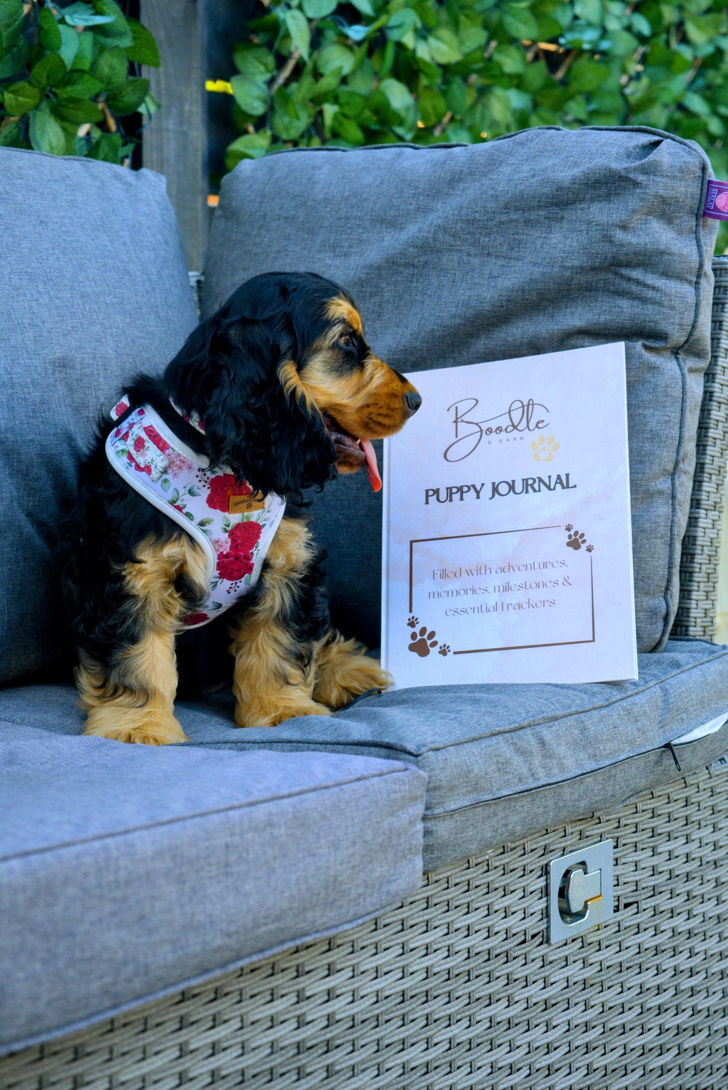Boodle & Bark Puppy Journal | Memory & Milestone Tracker