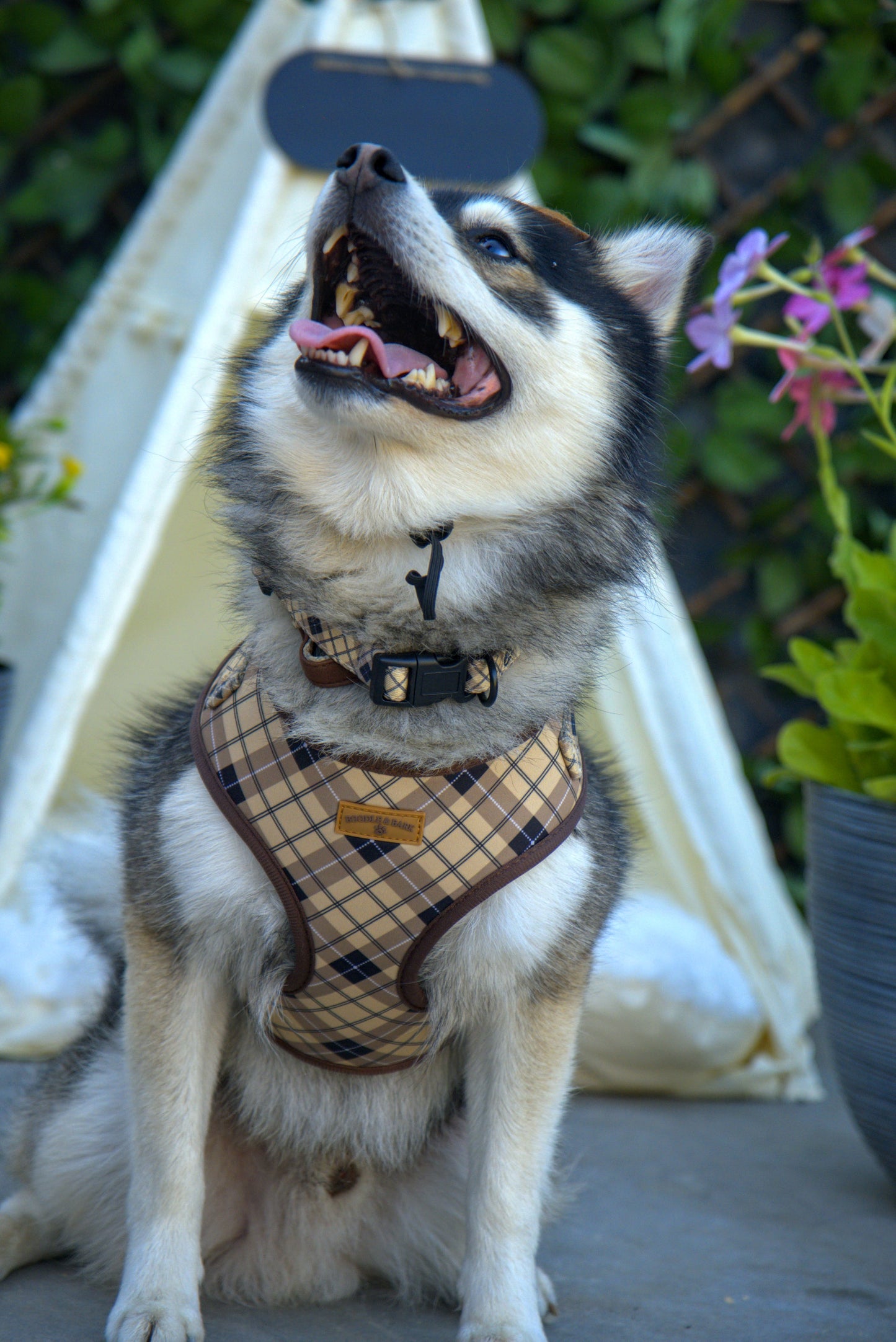 Brown Checkered Dog Harness | Classic Adjustable Harness