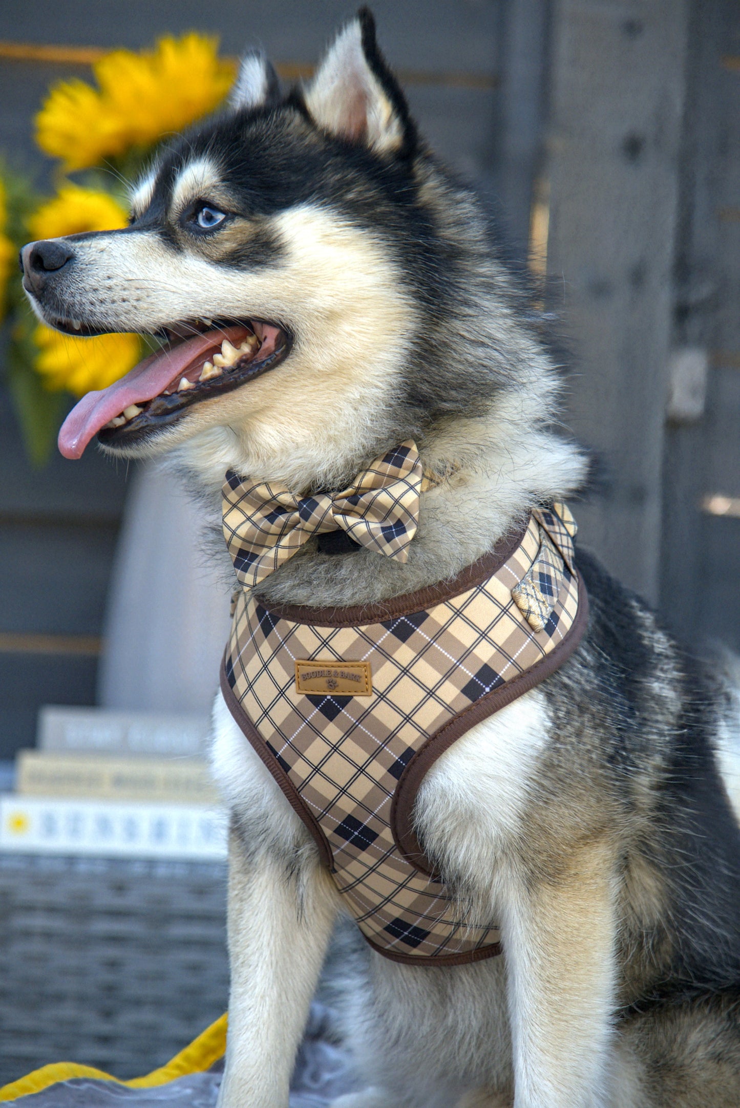 Brown Checkered Dog Harness | Classic Adjustable Harness
