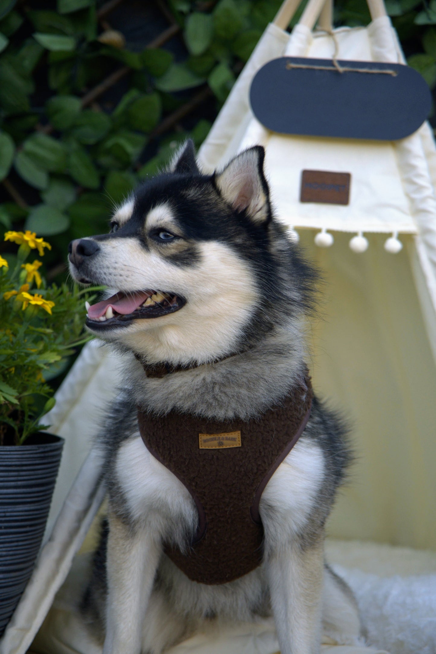 Cosy Chocolate Brown Dog Harness | Soft Fleece Adjustable Harness