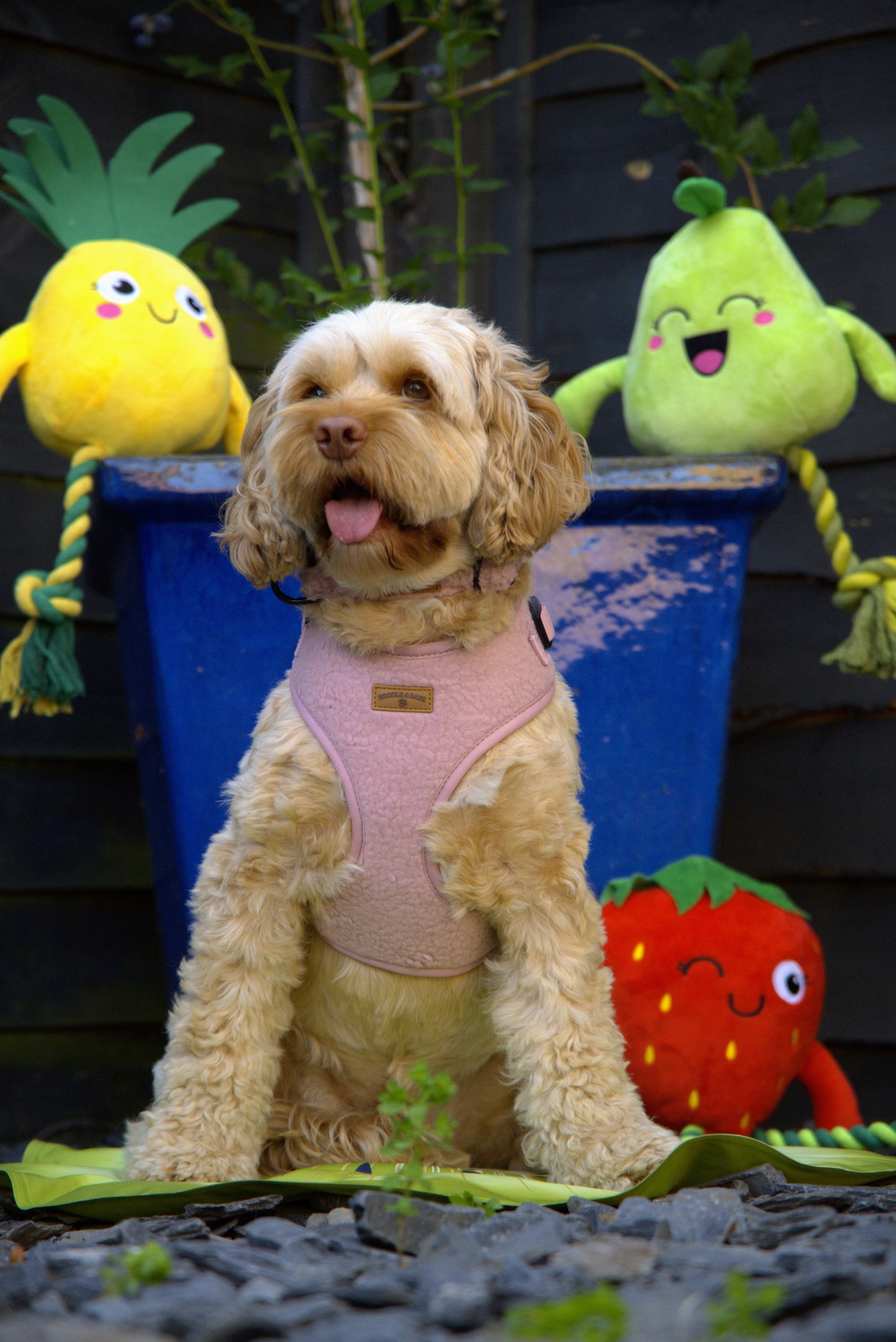 Cosy Pink Dog Harness | Soft Fleece Adjustable Harness