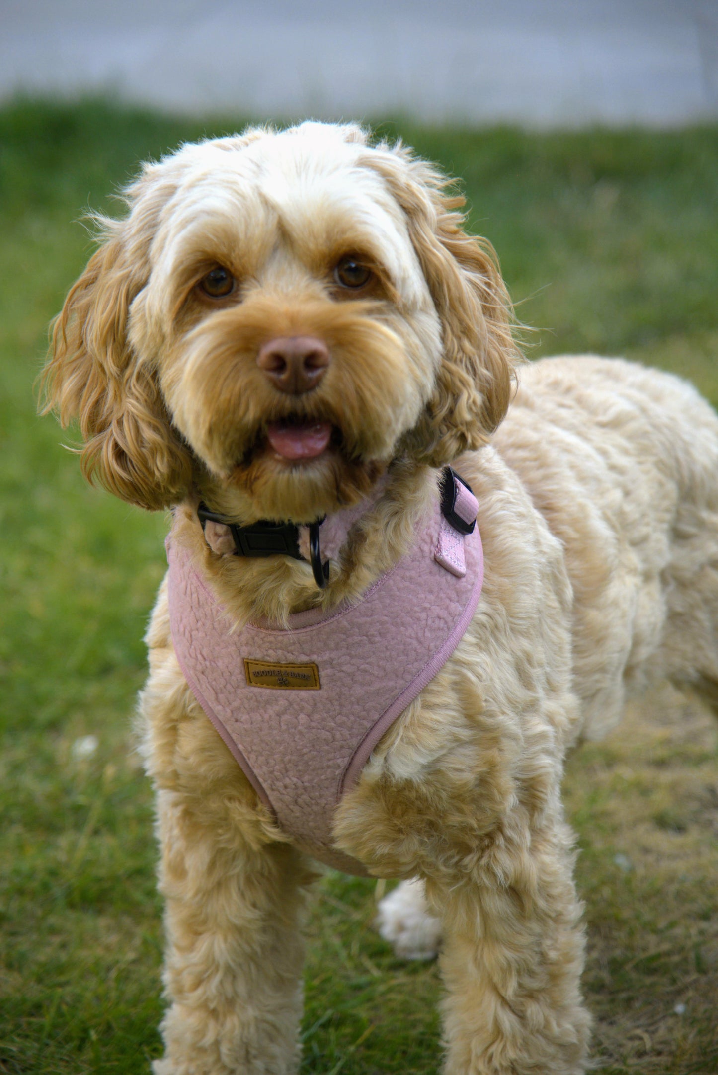 Cosy Pink Dog Harness | Soft Fleece Adjustable Harness