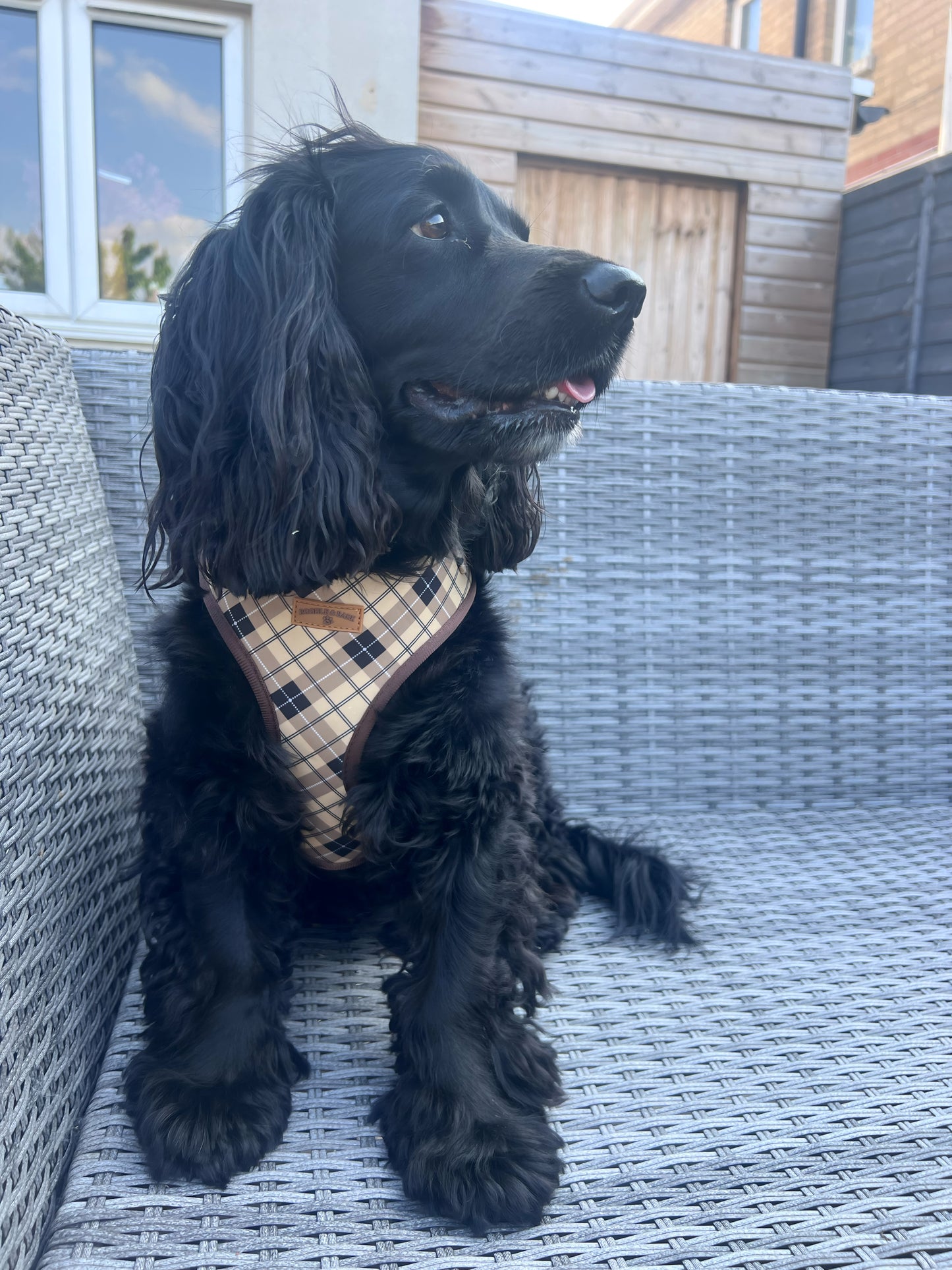 The Ultimate Boodle Bundle - Brown Checkered Edition