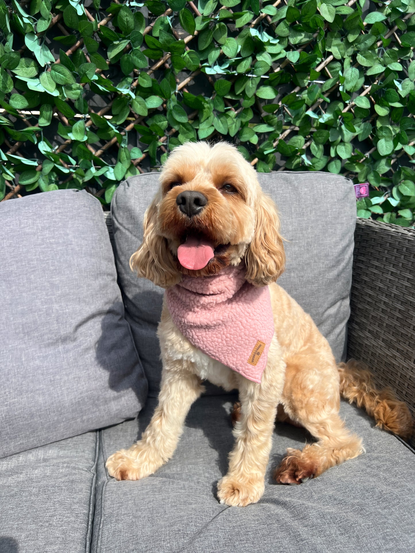Cosy Pink Bandana