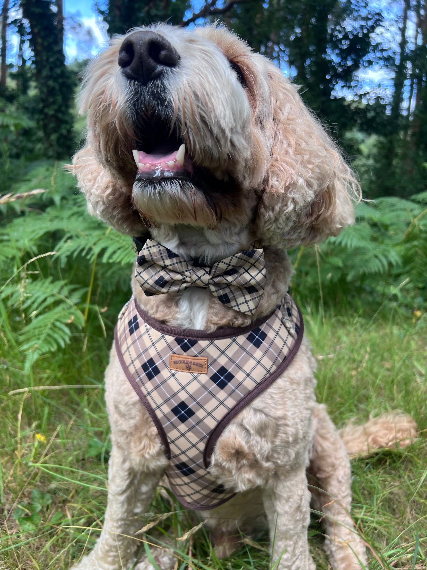The Ultimate Boodle Bundle - Brown Checkered Edition