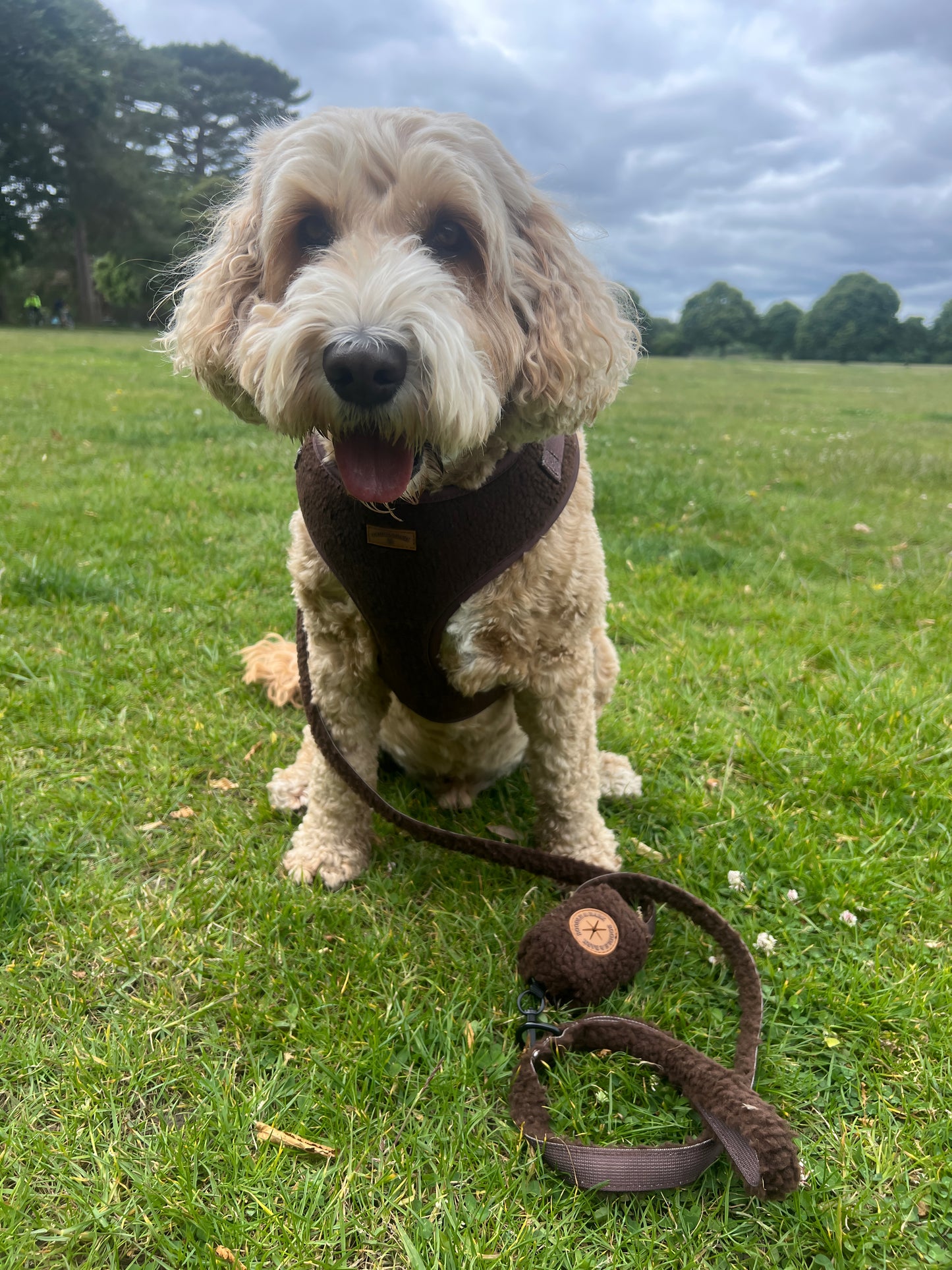 The Ultimate Boodle Bundle - Cosy Chocolate Brown Edition