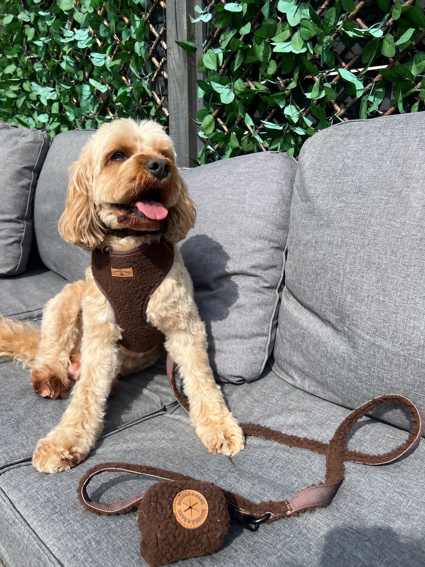 The Ultimate Boodle Bundle - Cosy Chocolate Brown Edition
