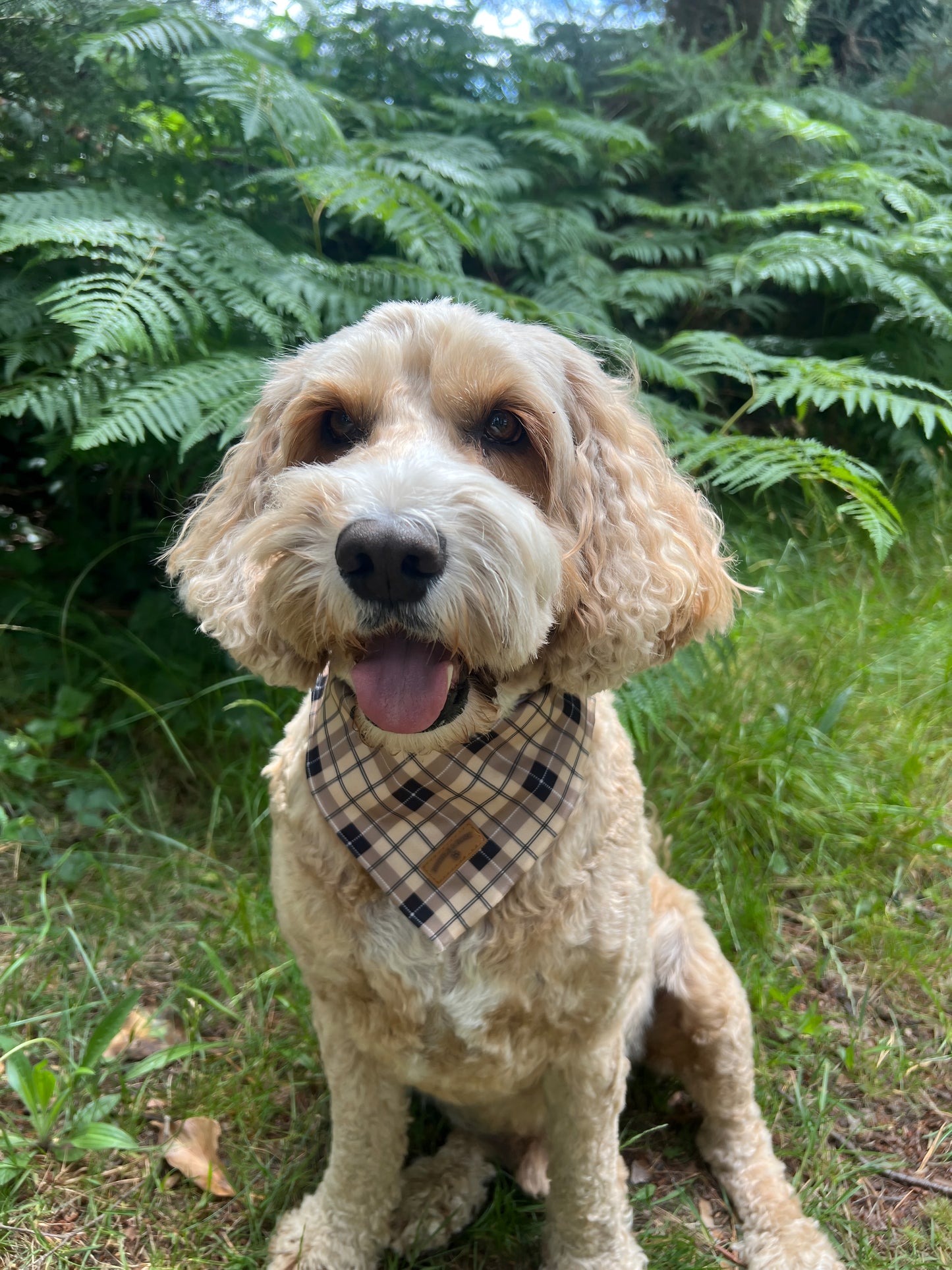 Brown Checkered Bandana