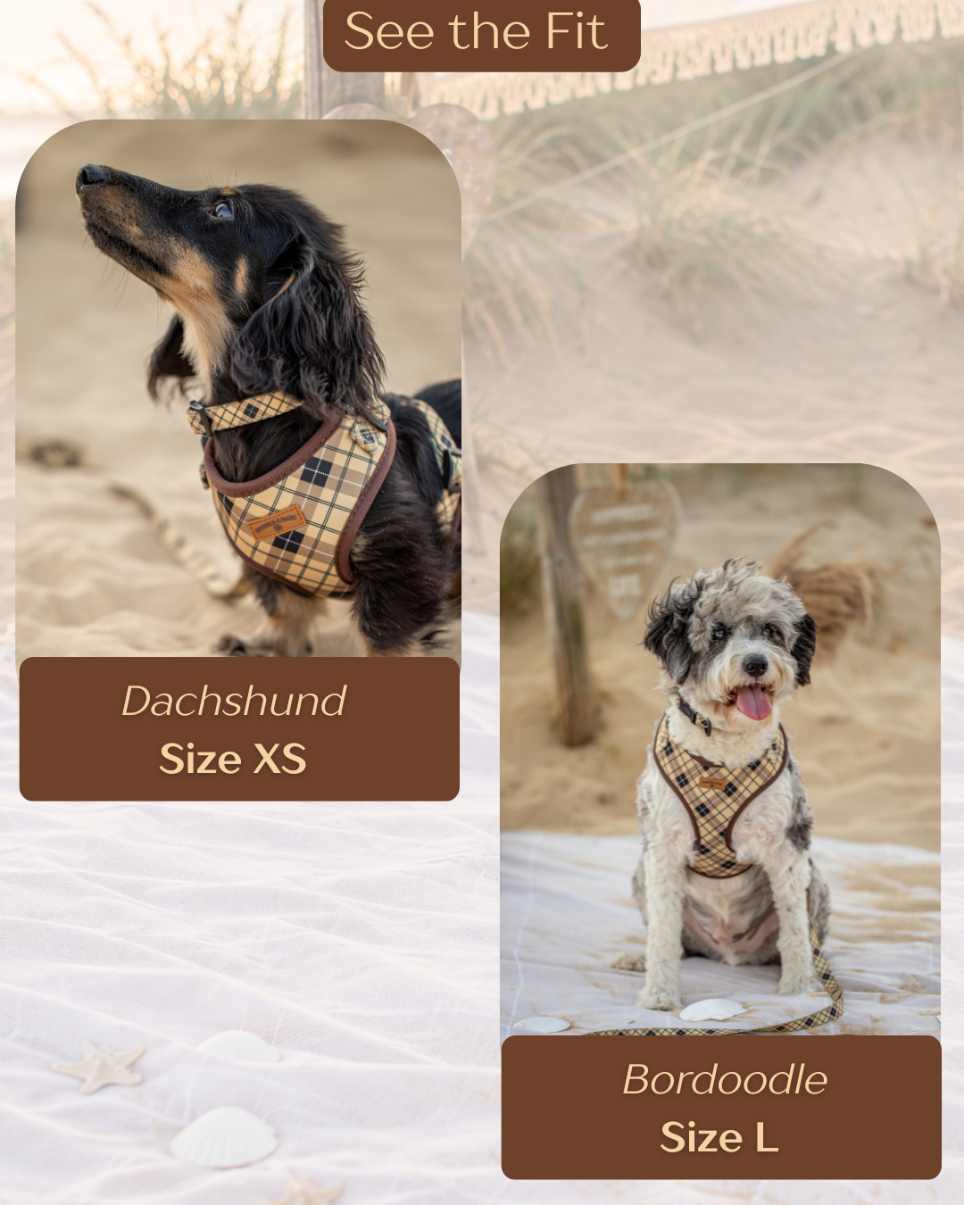 Brown Checkered 6-Piece Matching Bundle