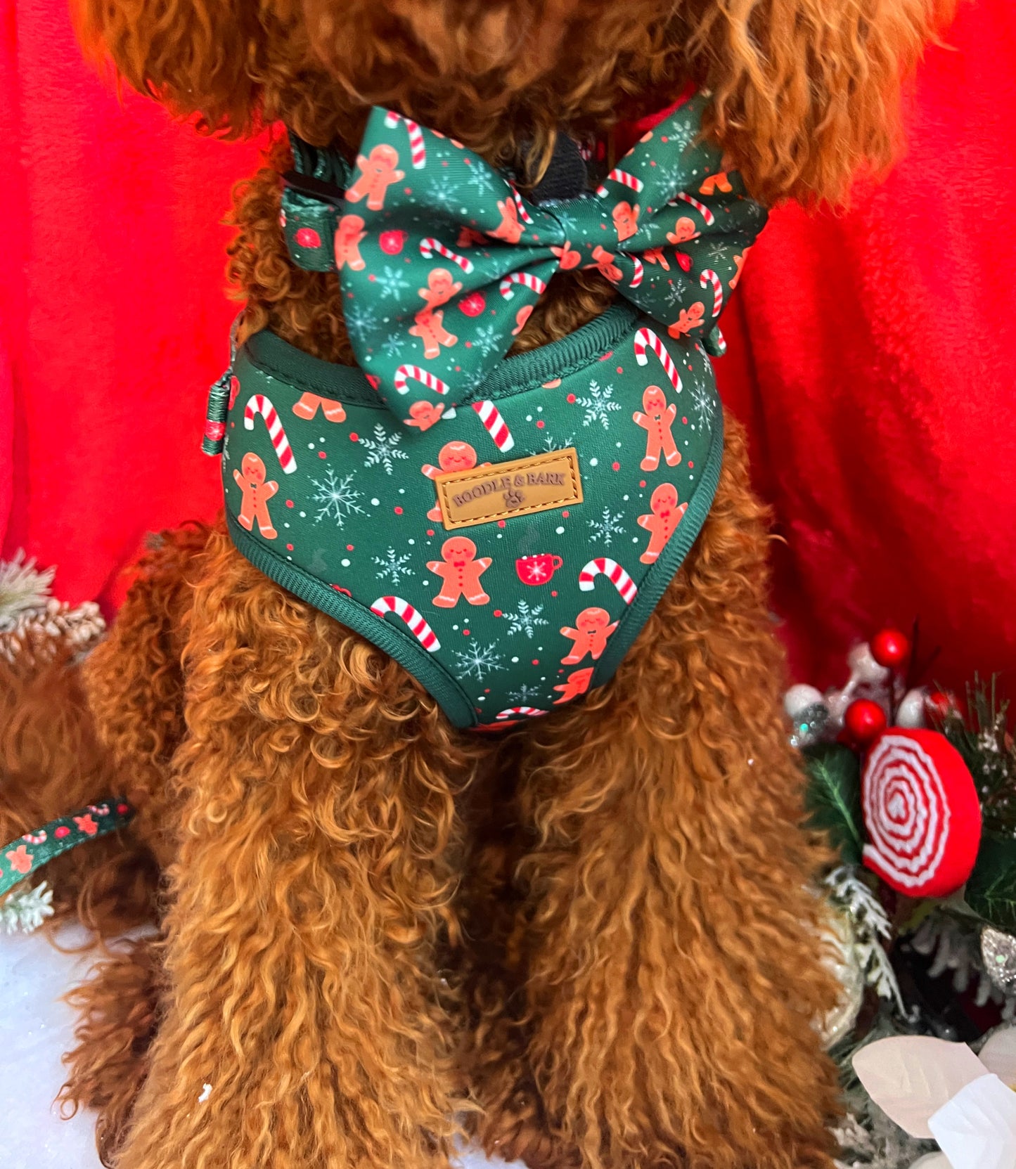 Green Christmas Dog Bundle | Festive Gingerbread & Candy Cane Harness, Matching Collar, Lead, Bow & Poop Bag Holder