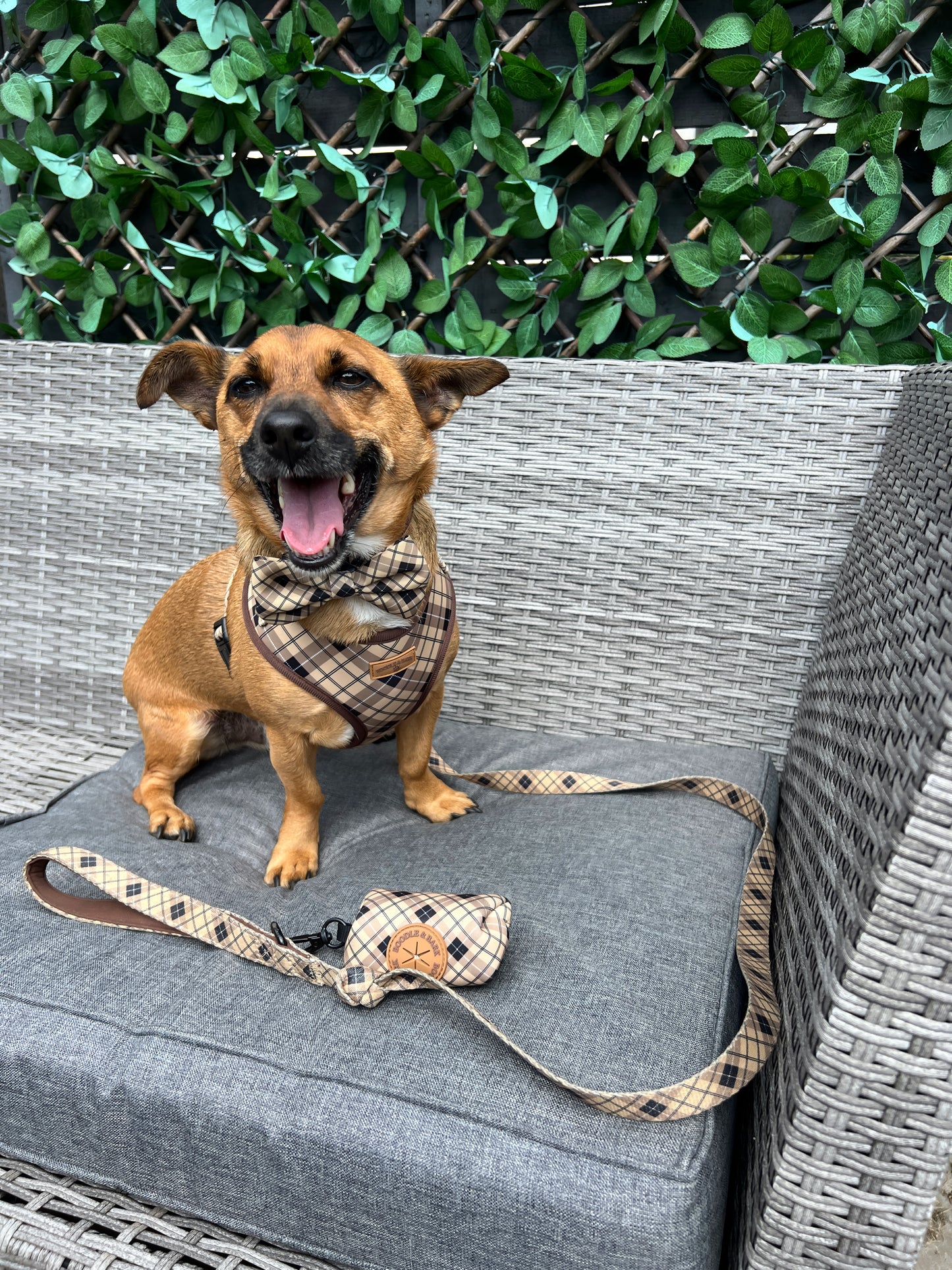 The Ultimate Boodle Bundle - Brown Checkered Edition
