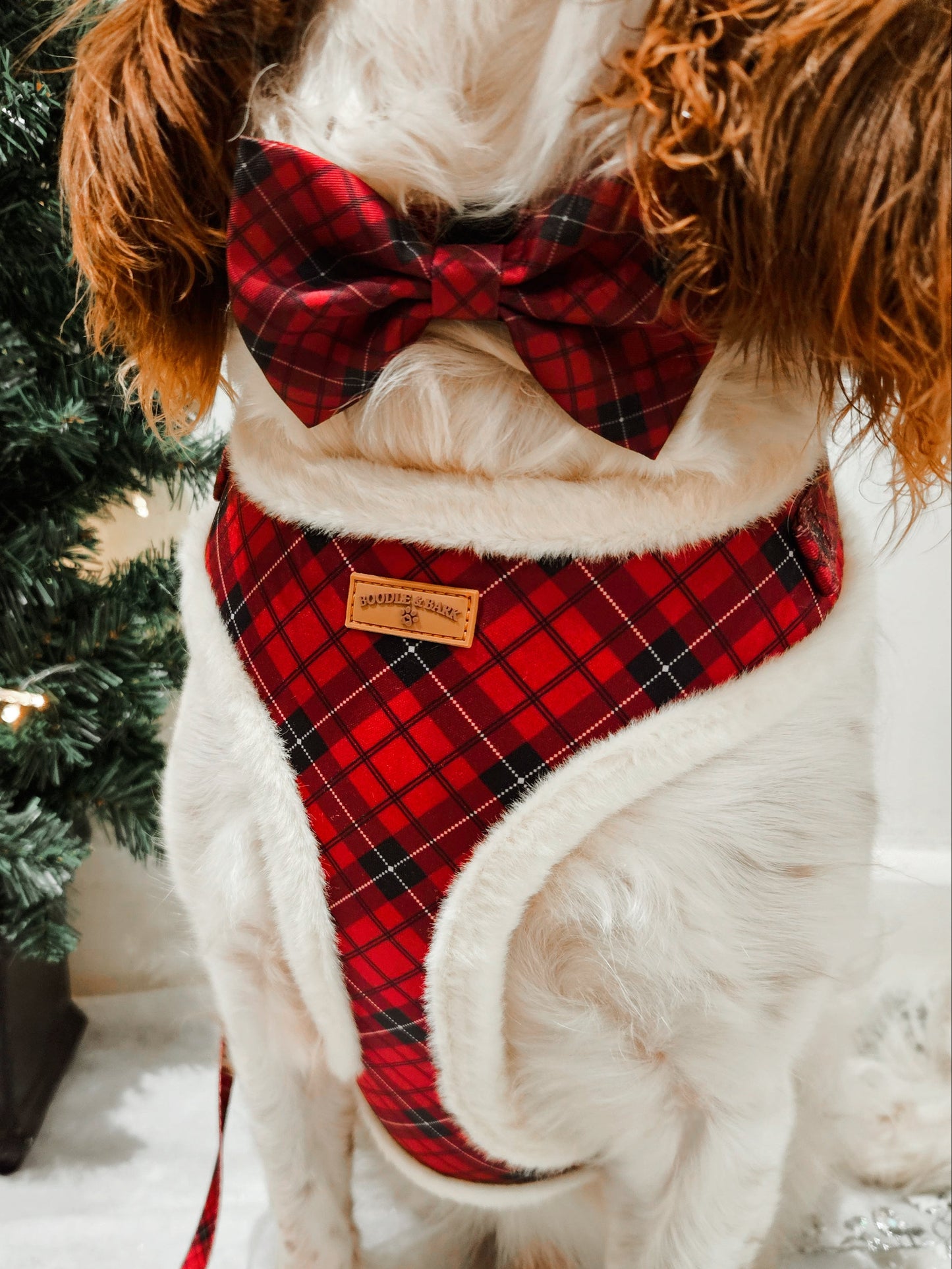 Red Checkered Christmas Dog Bundle | Faux-Fur Trim Harness, Matching Collar, Lead, Bow & Poop Bag Holder