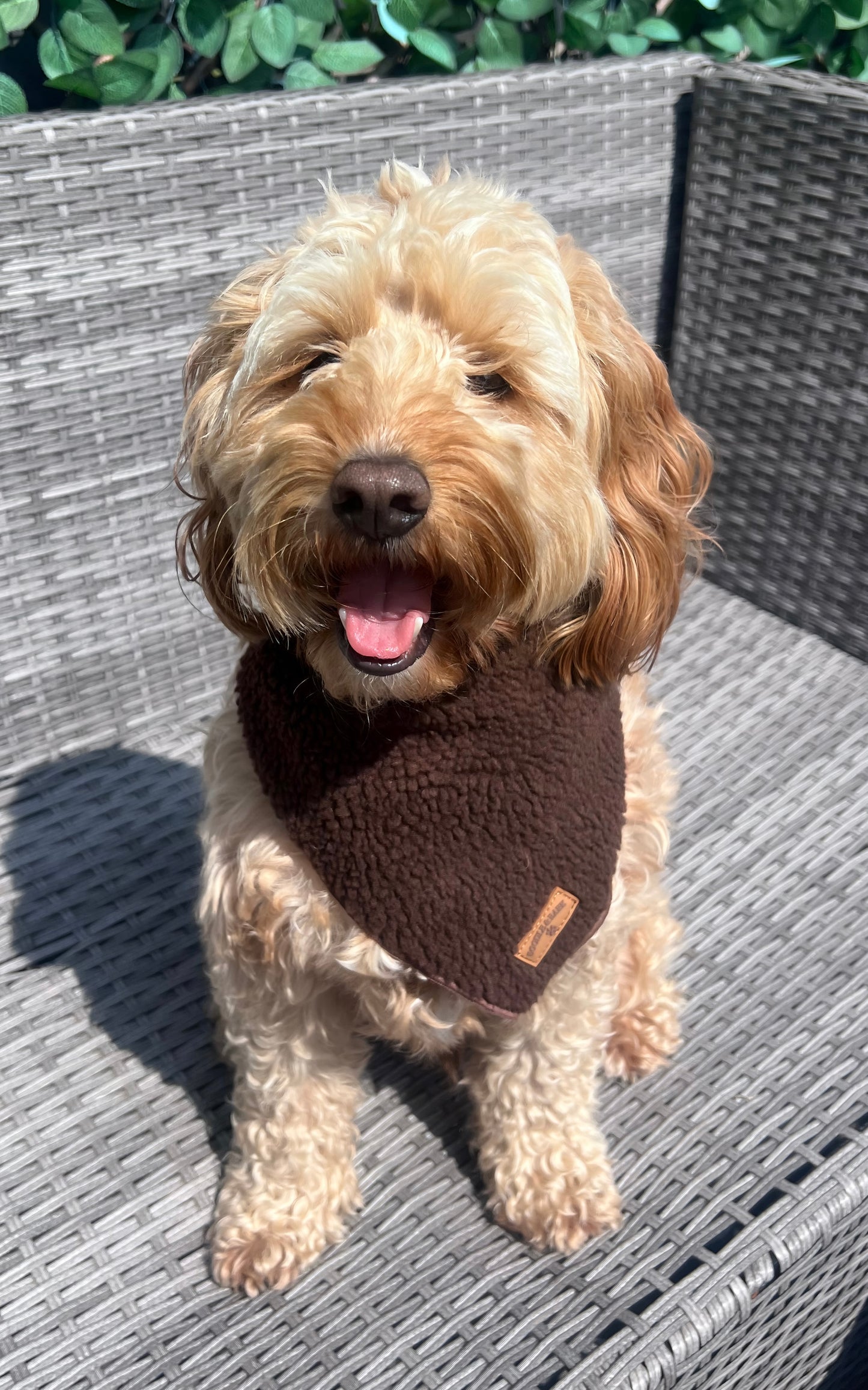Cosy Chocolate Brown Bandana