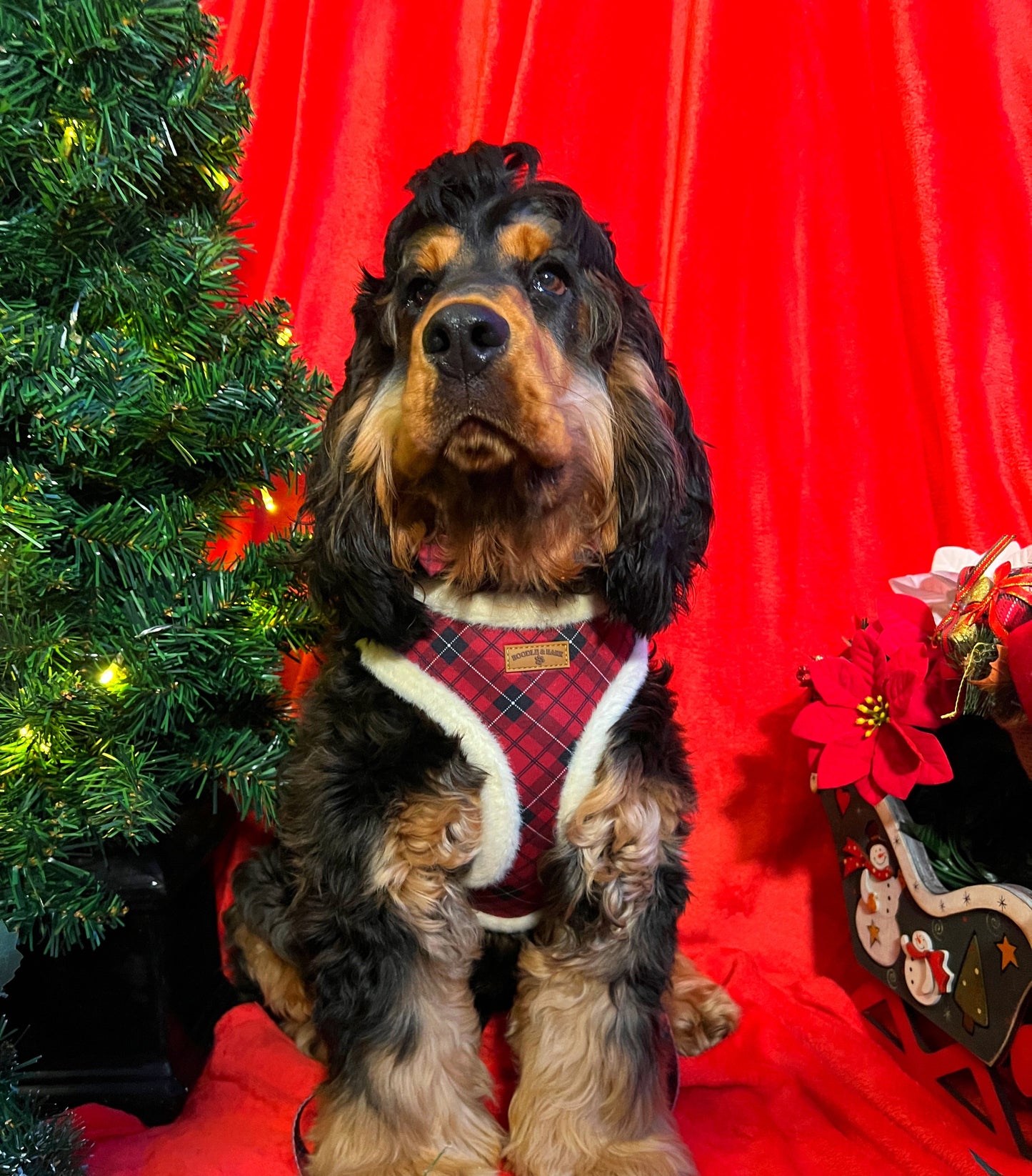 Red Checkered Christmas Dog Bundle | Faux-Fur Trim Harness, Matching Collar, Lead, Bow & Poop Bag Holder