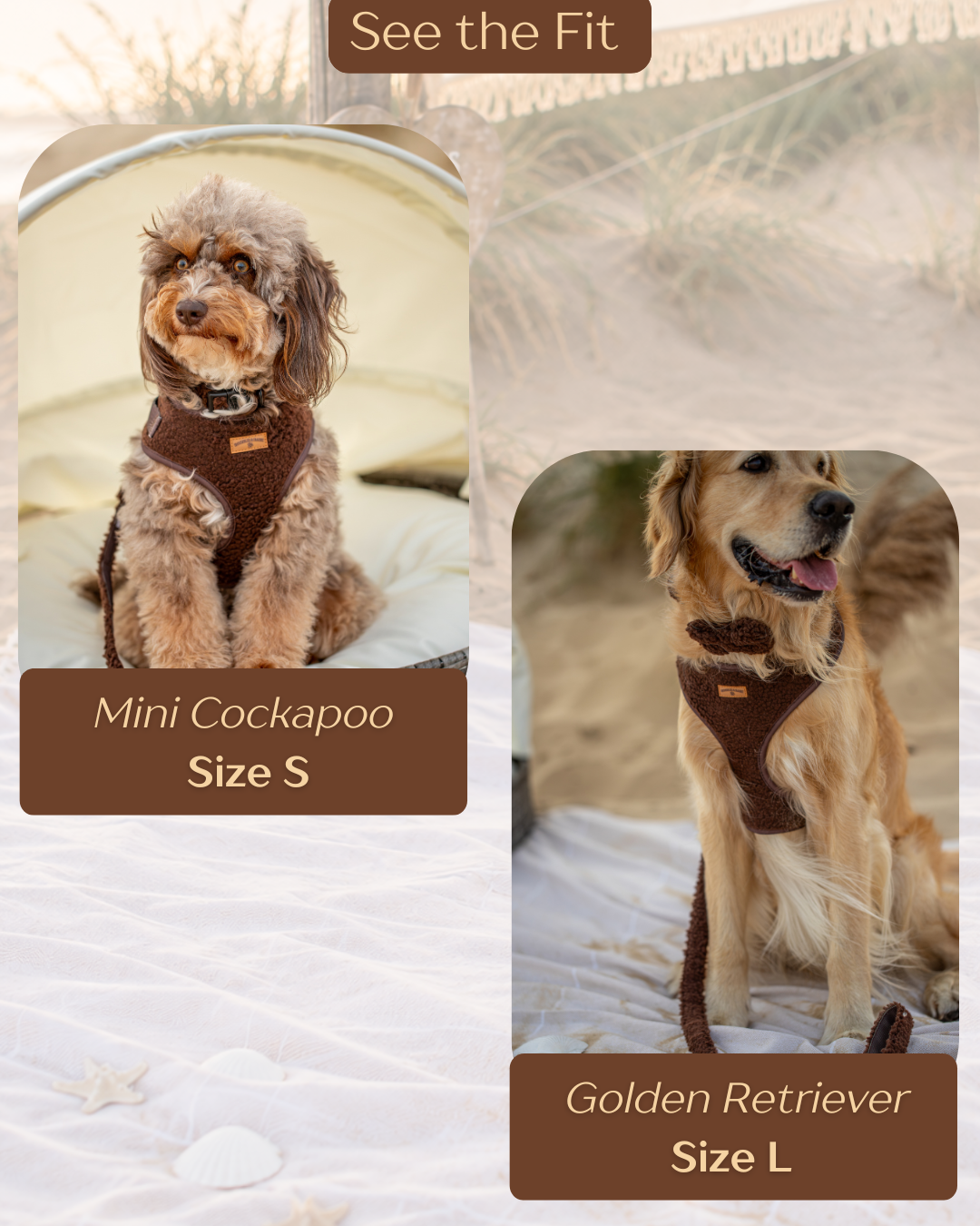 Cosy Chocolate Brown Dog Harness