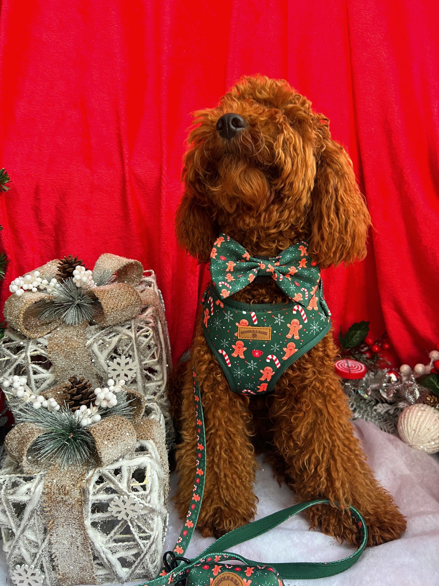 Green Christmas Dog Bundle | Festive Gingerbread & Candy Cane Harness, Matching Collar, Lead, Bow & Poop Bag Holder