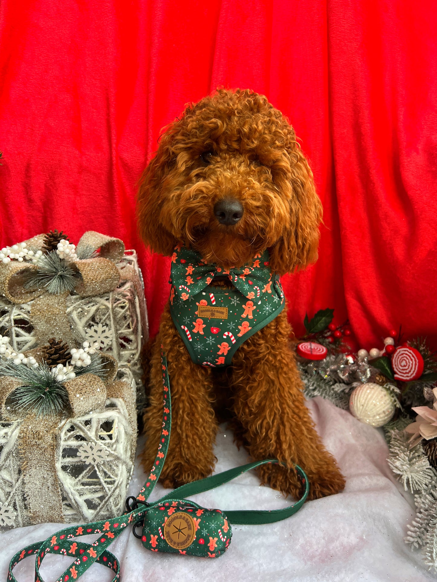 Green Christmas Dog Bundle | Festive Gingerbread & Candy Cane Harness, Matching Collar, Lead, Bow & Poop Bag Holder