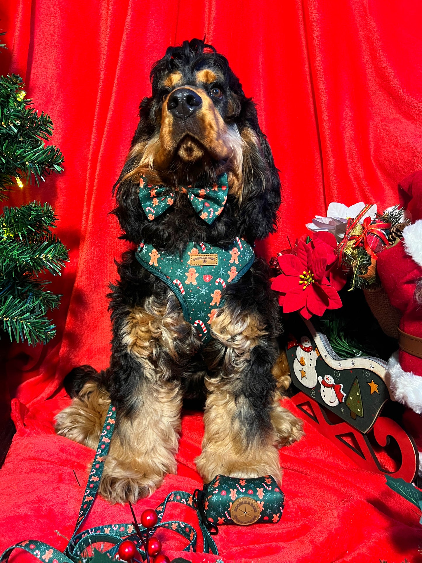 Green Christmas Dog Bundle | Festive Gingerbread & Candy Cane Harness, Matching Collar, Lead, Bow & Poop Bag Holder