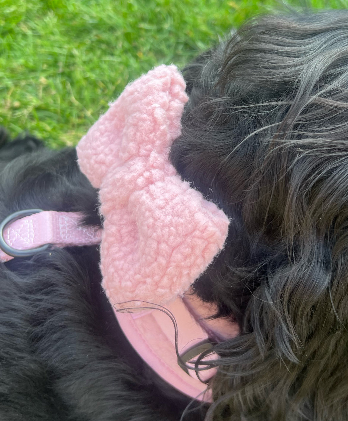 Cosy Pink Bow