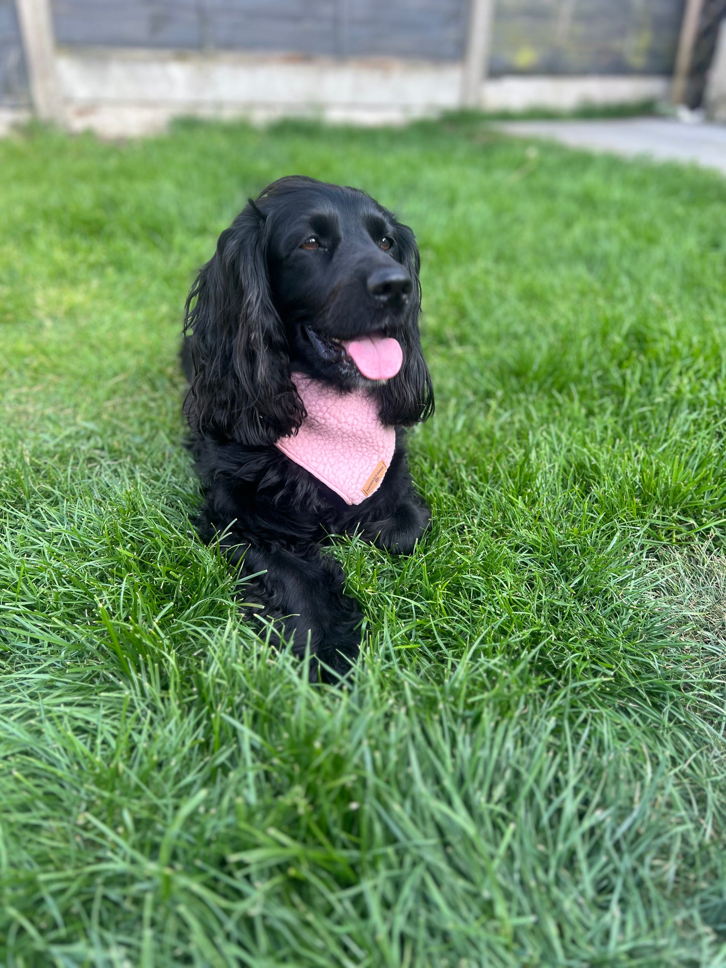 Cosy Pink Bandana