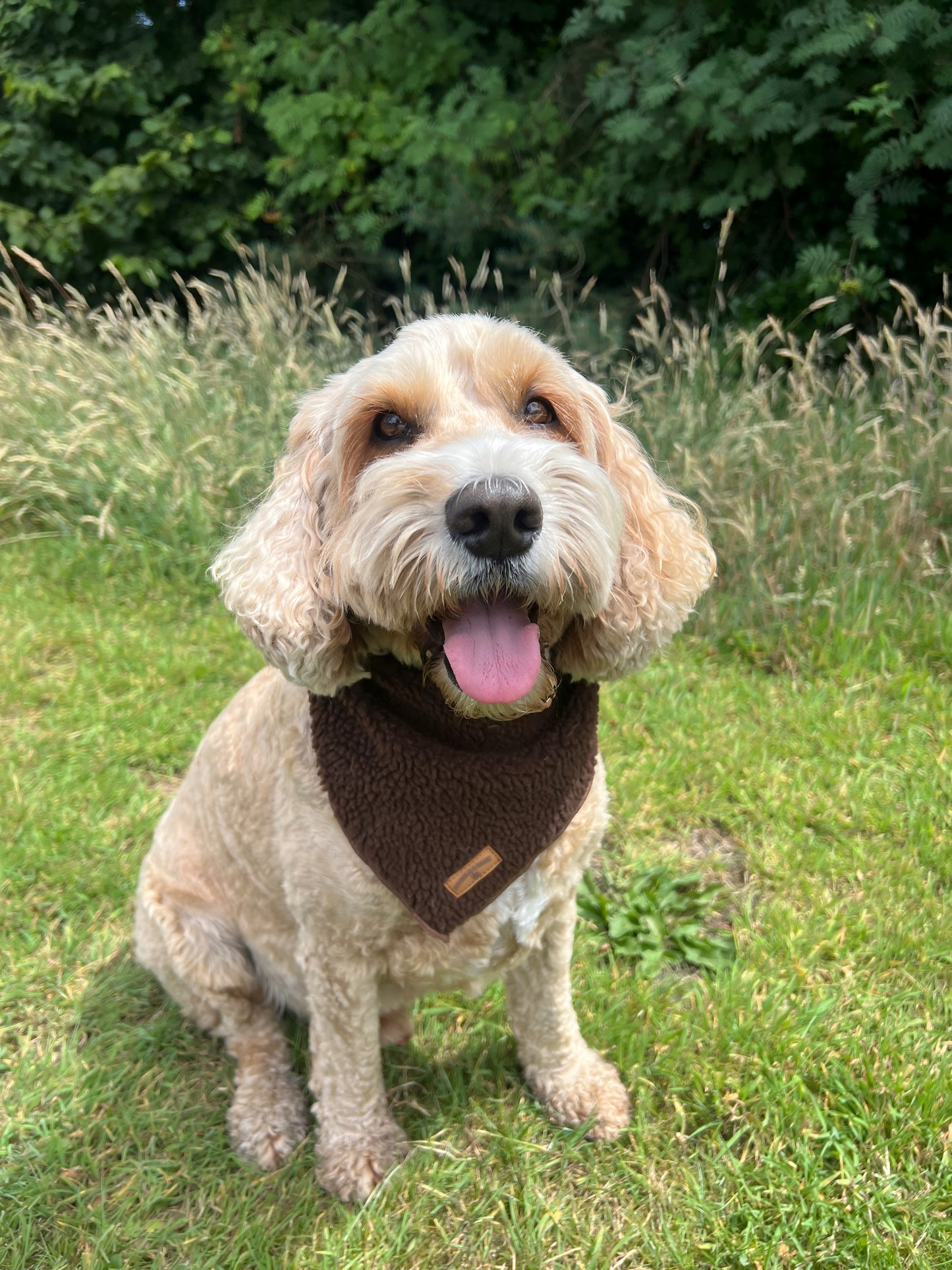 Cosy Chocolate Brown Bandana