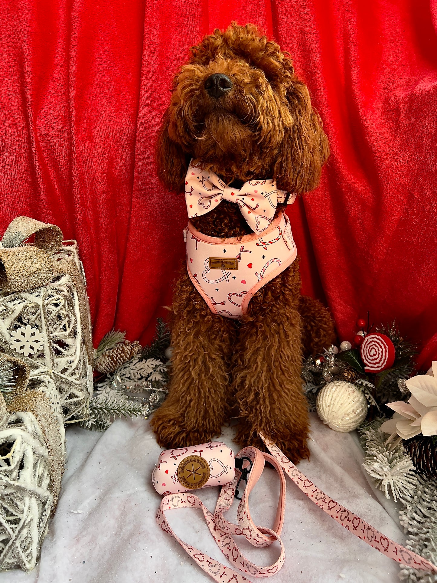 Pink Christmas Dog Bundle | Festive Love-Heart Candy Cane Harness, Matching Collar, Lead, Bow & Poop Bag Holder