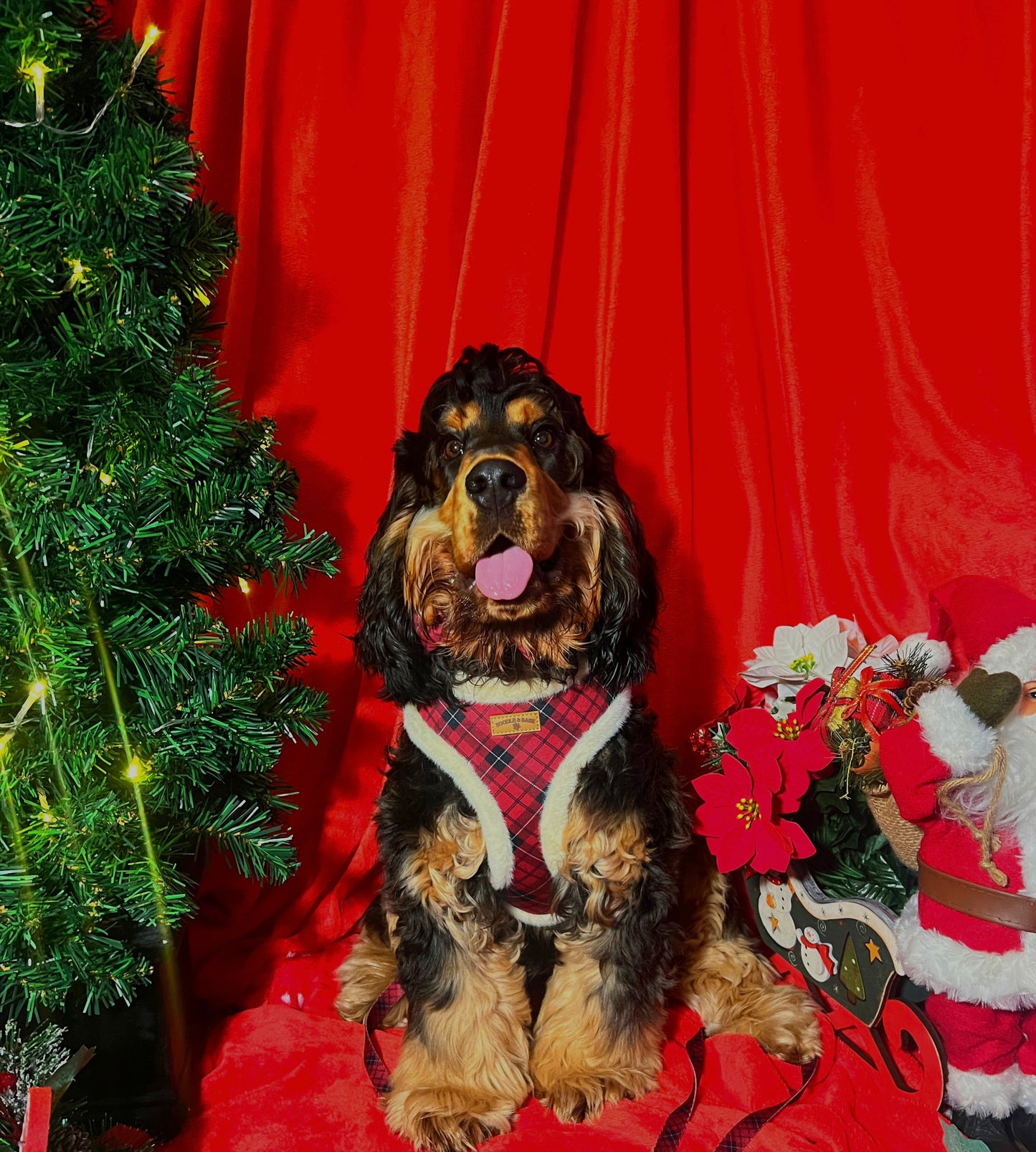 Red Checkered Christmas Dog Bundle | Faux-Fur Trim Harness, Matching Collar, Lead, Bow & Poop Bag Holder