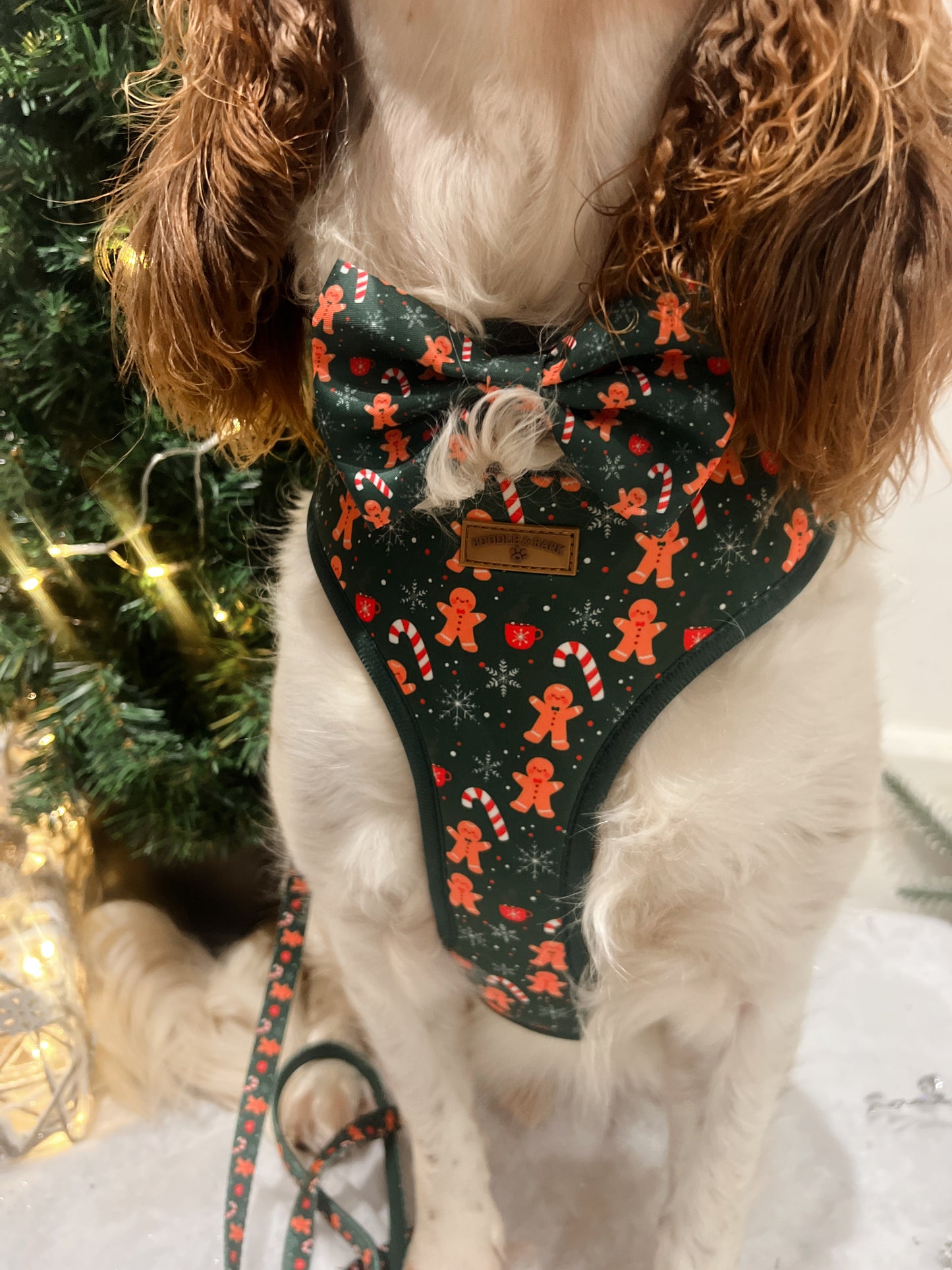 Green Christmas Dog Bundle | Festive Gingerbread & Candy Cane Harness, Matching Collar, Lead, Bow & Poop Bag Holder
