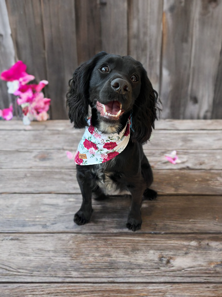 Floral White Bandana