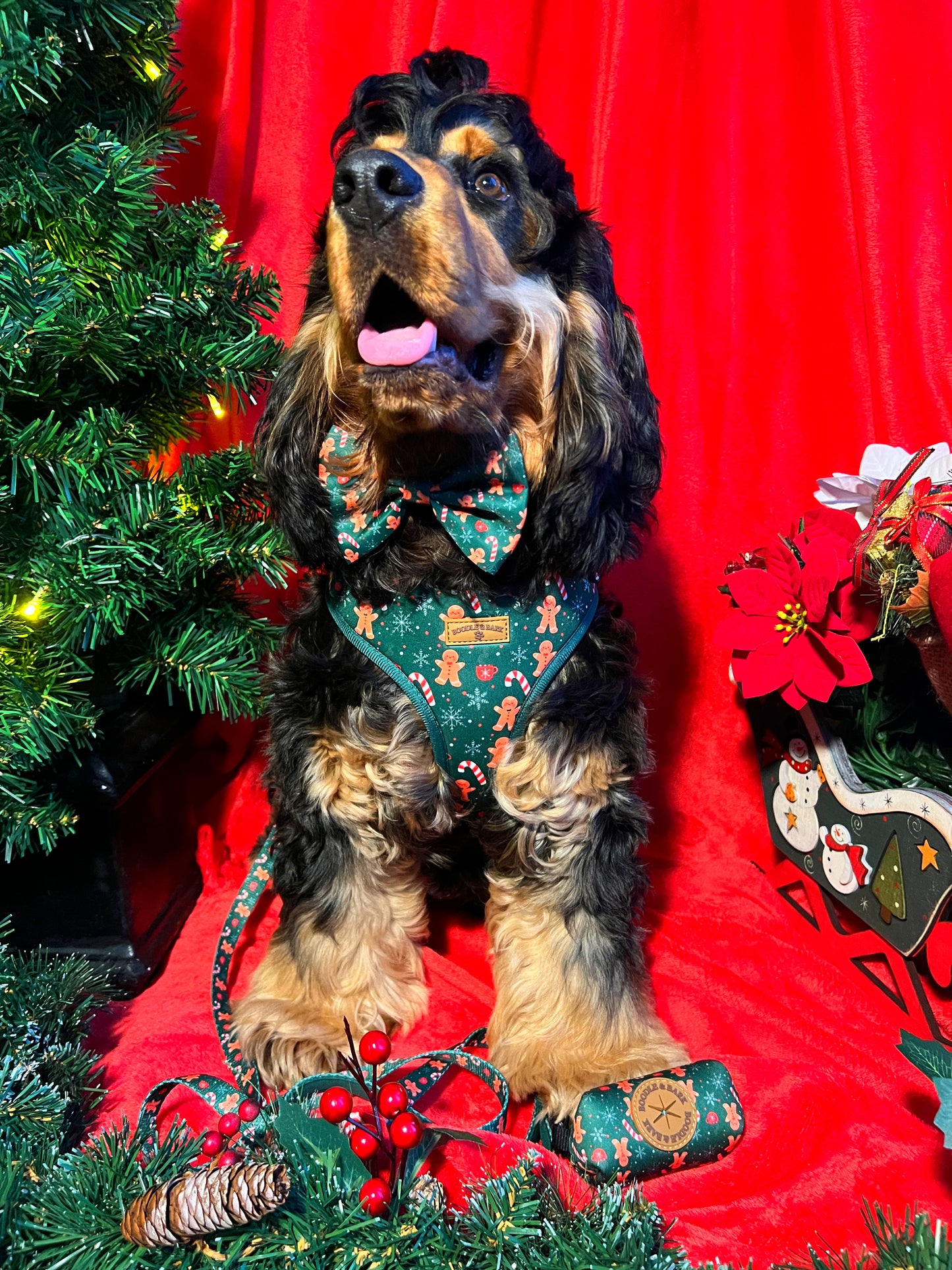 Green Christmas Dog Bundle | Festive Gingerbread & Candy Cane Harness, Matching Collar, Lead, Bow & Poop Bag Holder