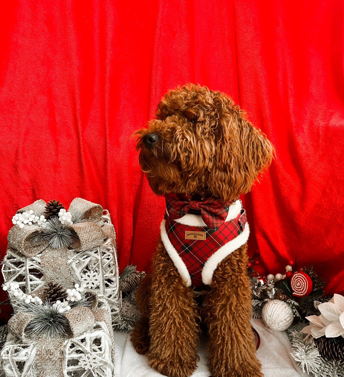 Red Checkered Christmas Dog Bundle | Faux-Fur Trim Harness, Matching Collar, Lead, Bow & Poop Bag Holder