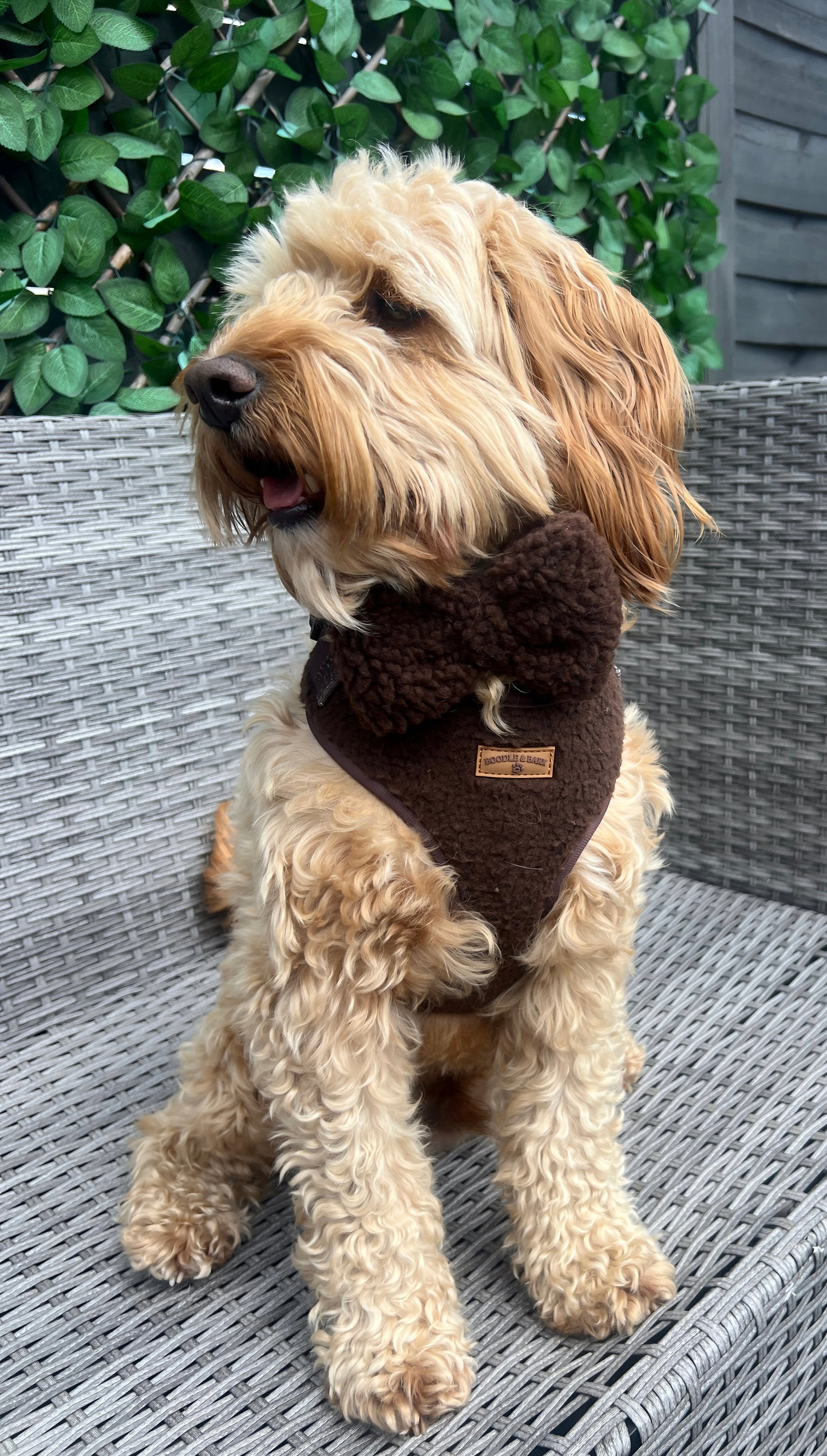 Cosy Chocolate Brown Bow