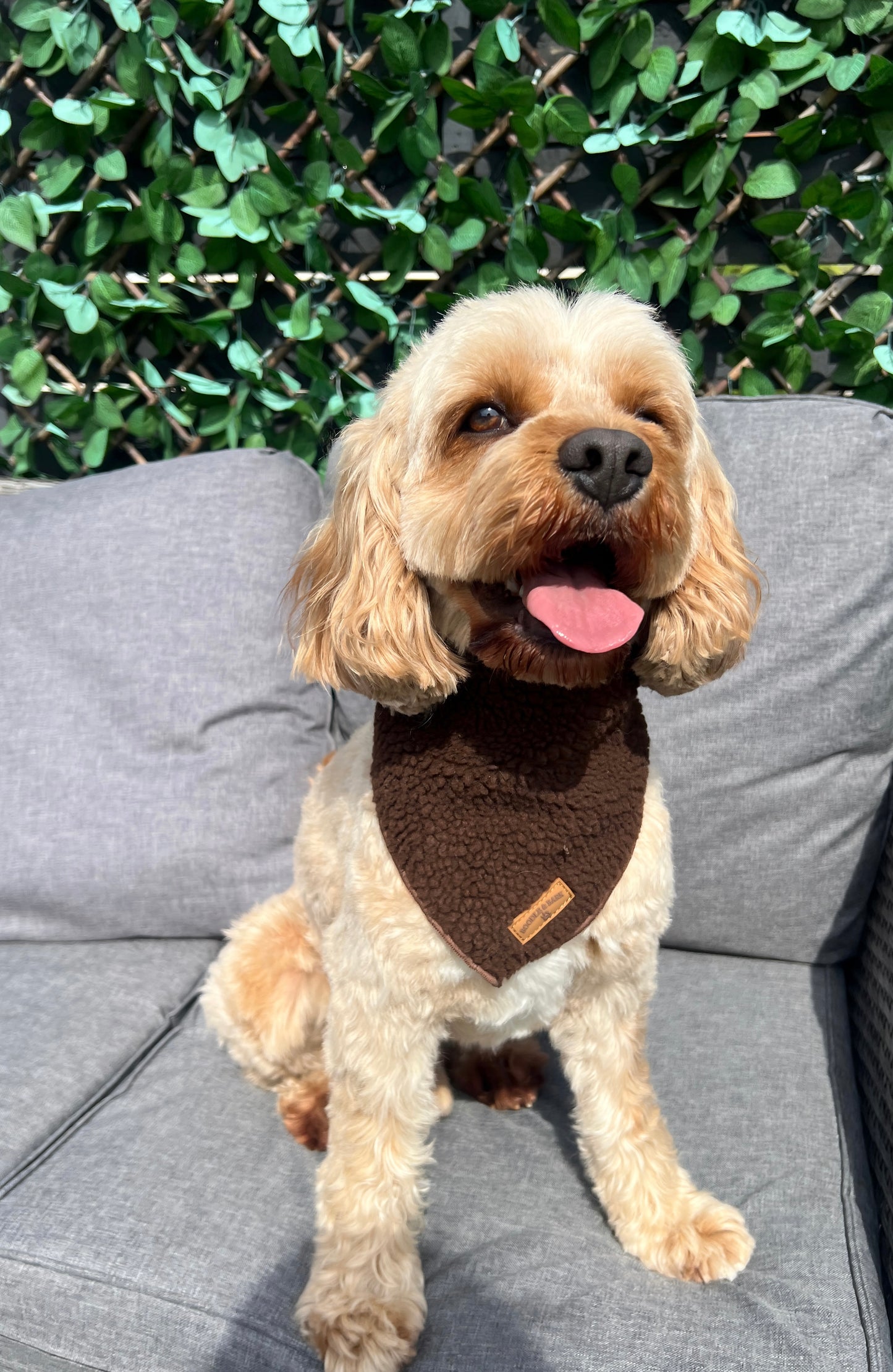 Cosy Chocolate Brown Bandana