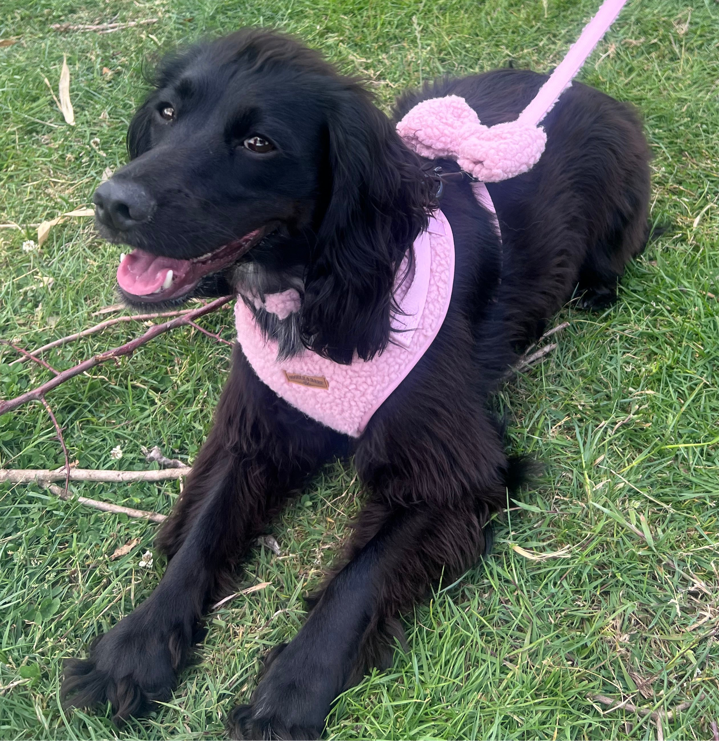 Cosy Pink Bow