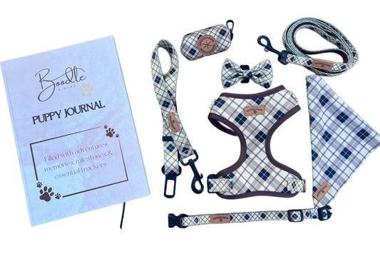 🐾 The Boodle Puppy Bundle - Checkered Edition 🐾