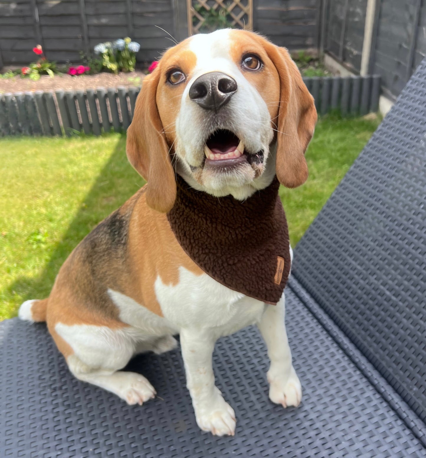 Cosy Chocolate Brown Bandana