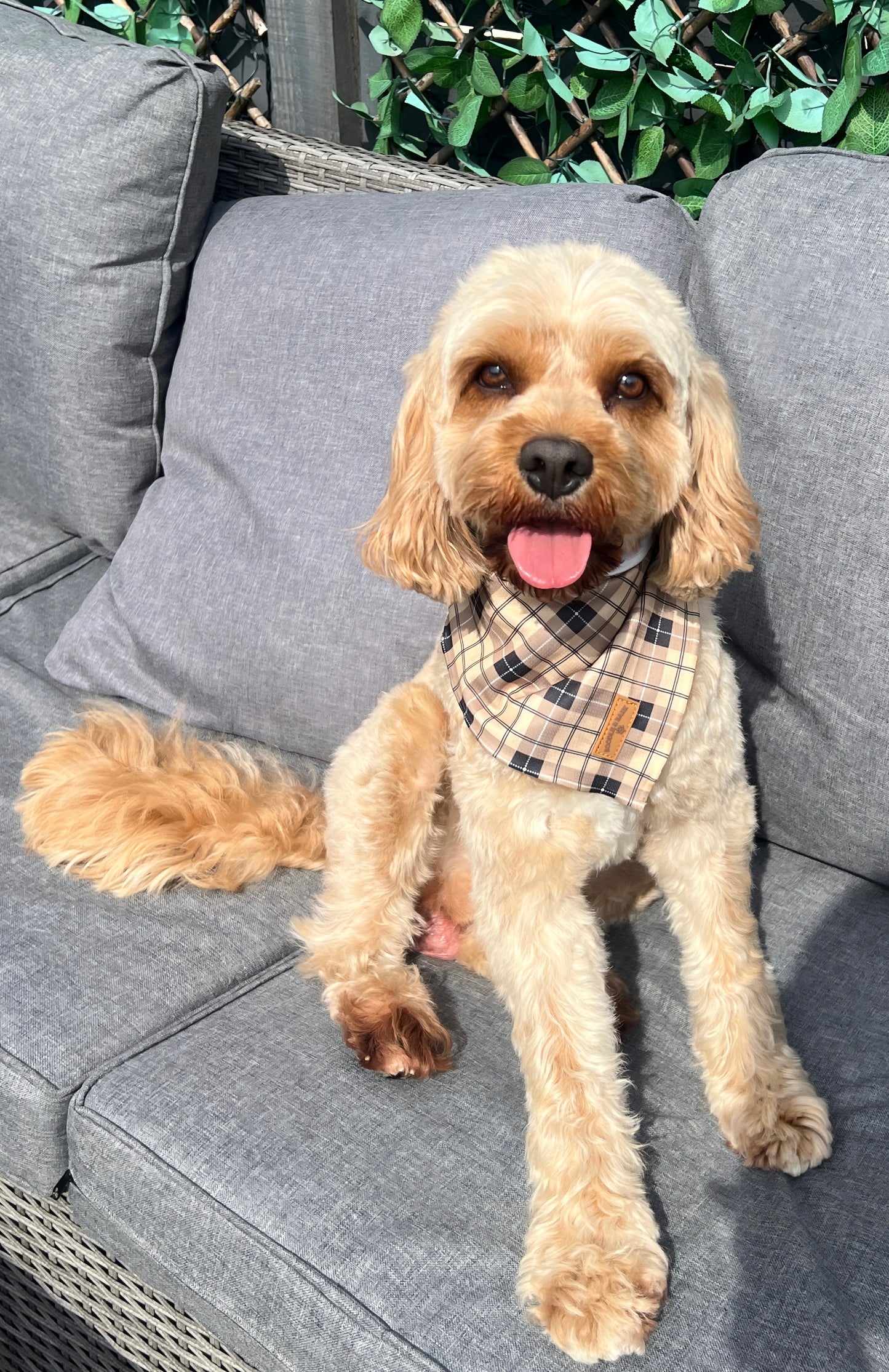 Brown Checkered Bandana