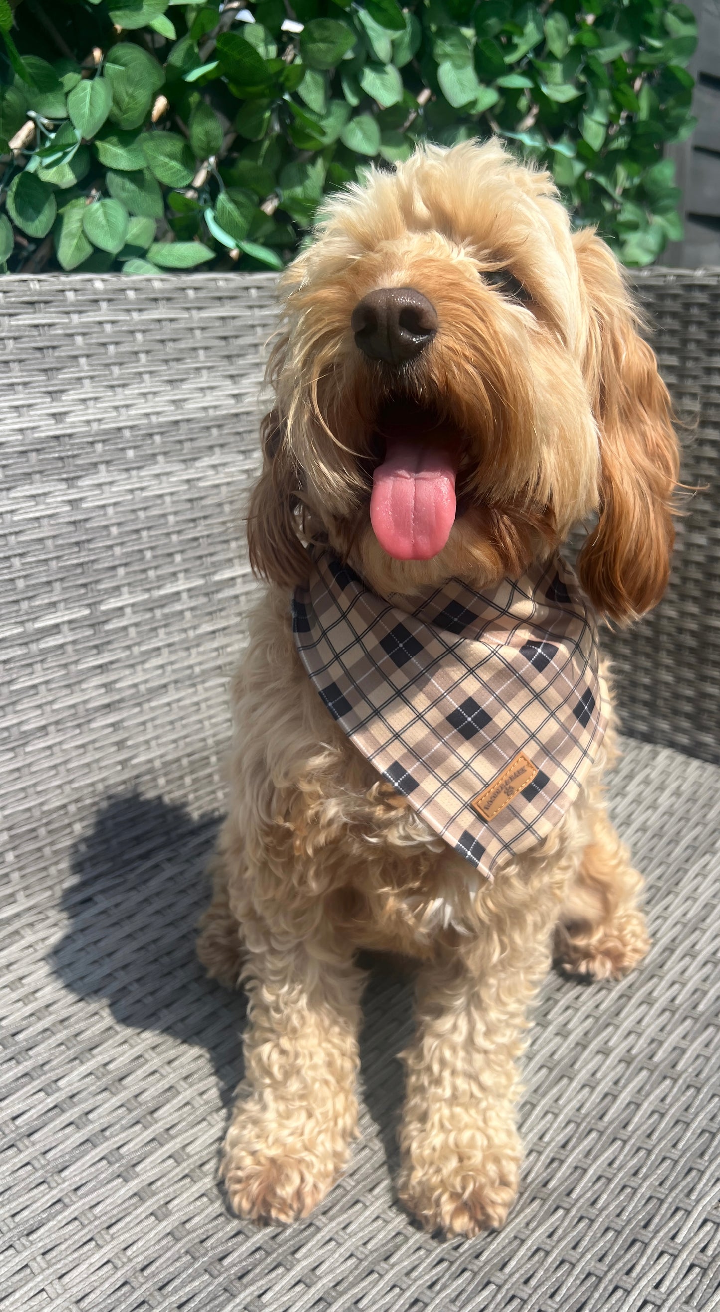 Brown Checkered Bandana